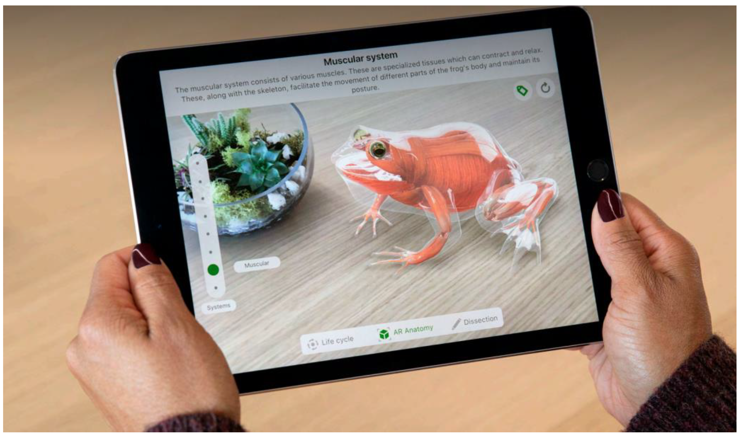 Virtualworlds 03 00030 g001