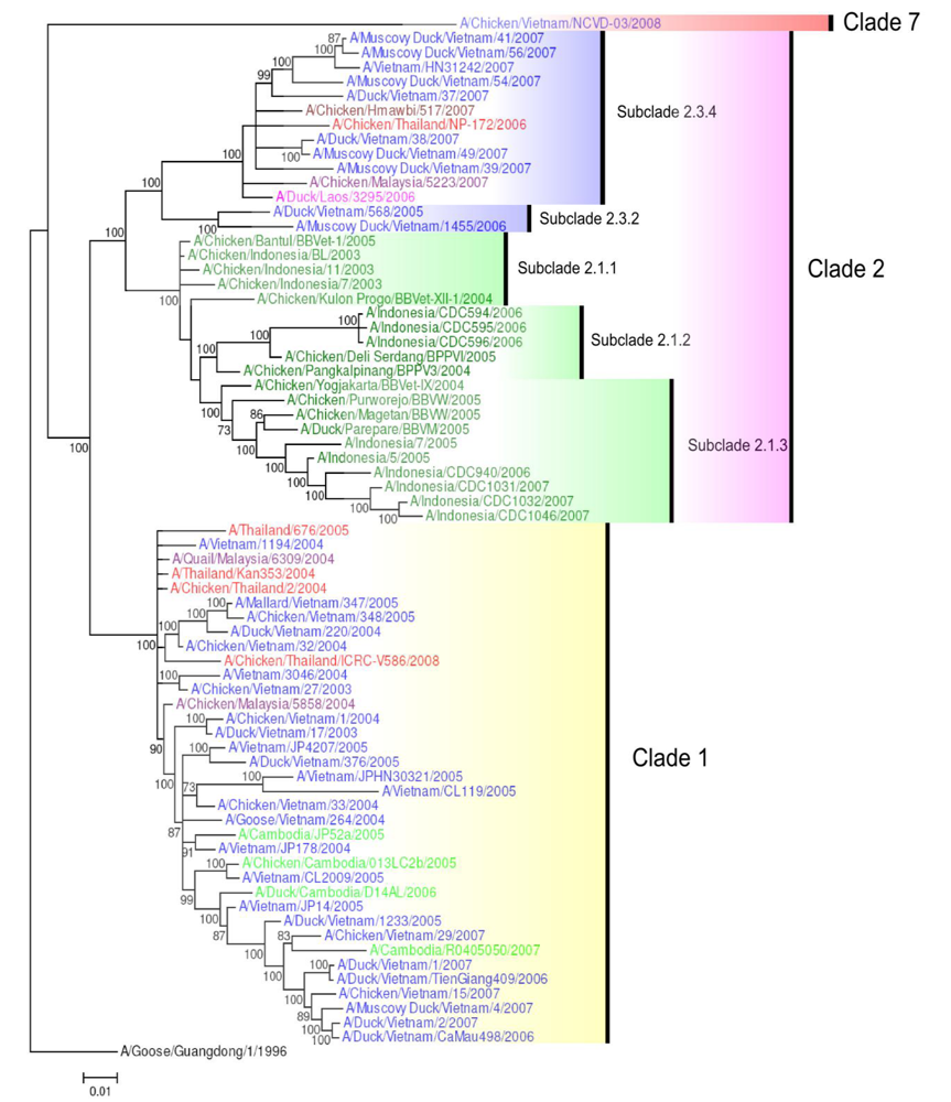 Viruses 01 00335 g002