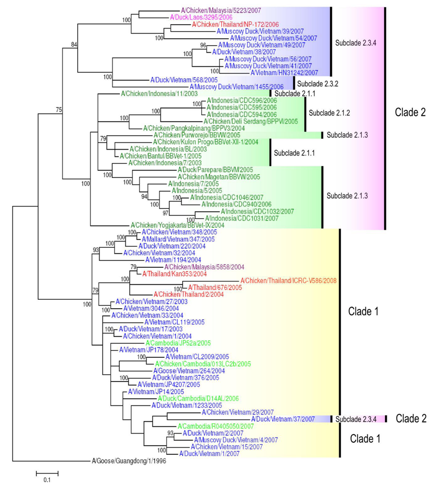 Viruses 01 00335 g003