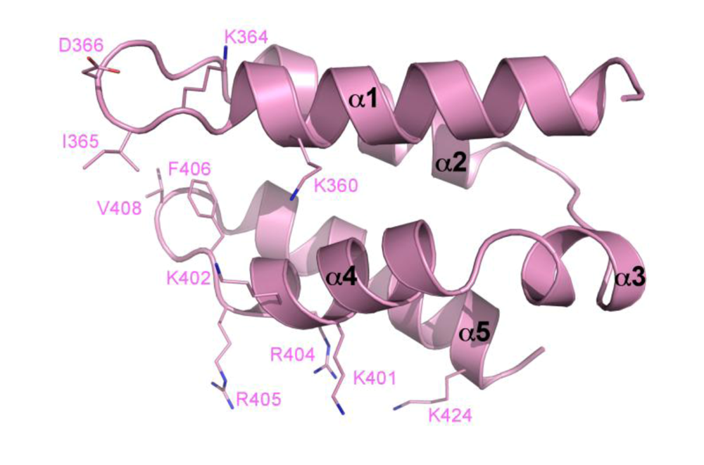 Viruses 01 00780 g003