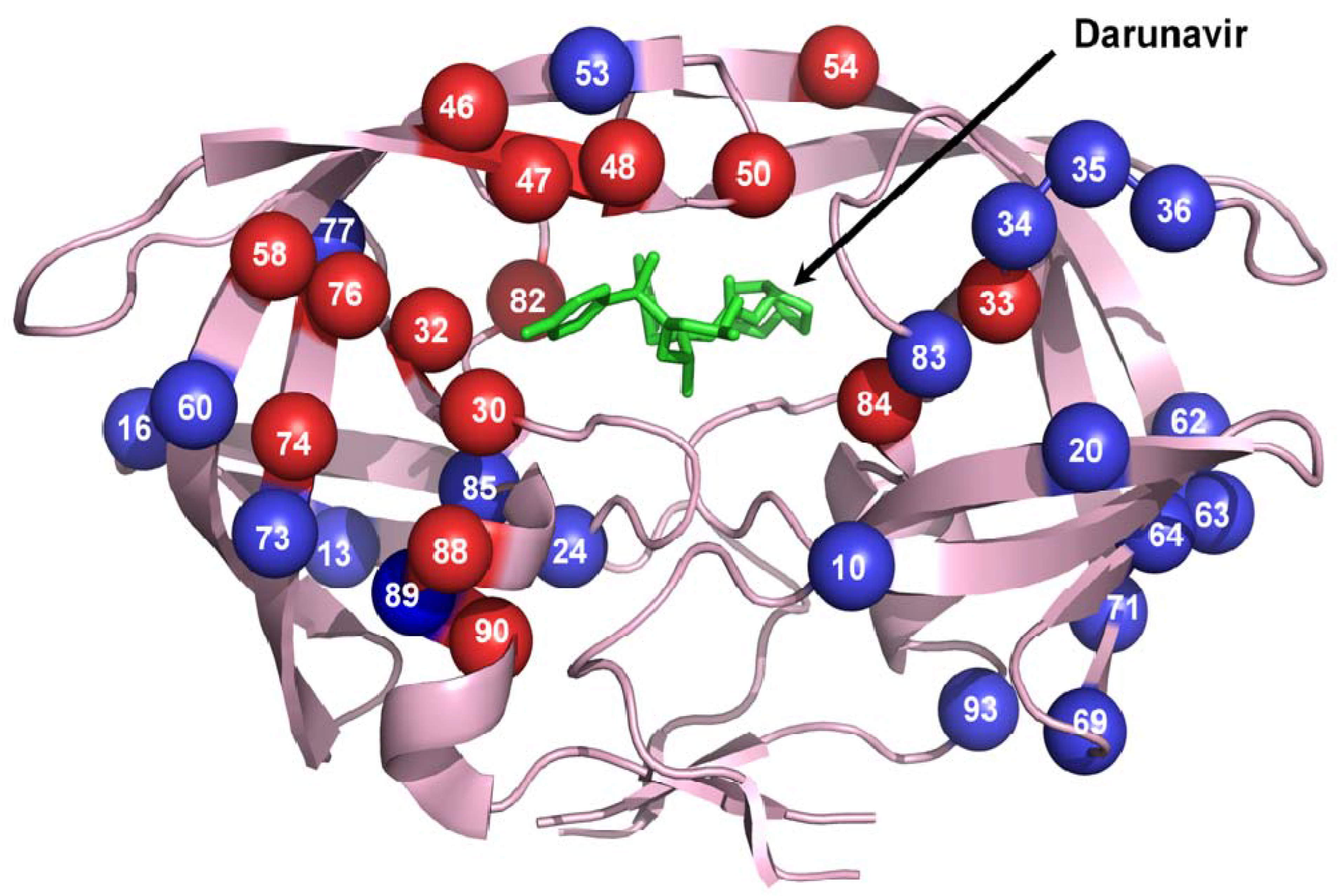 Viruses 01 01110 g003 Viruses 01 01110 g003