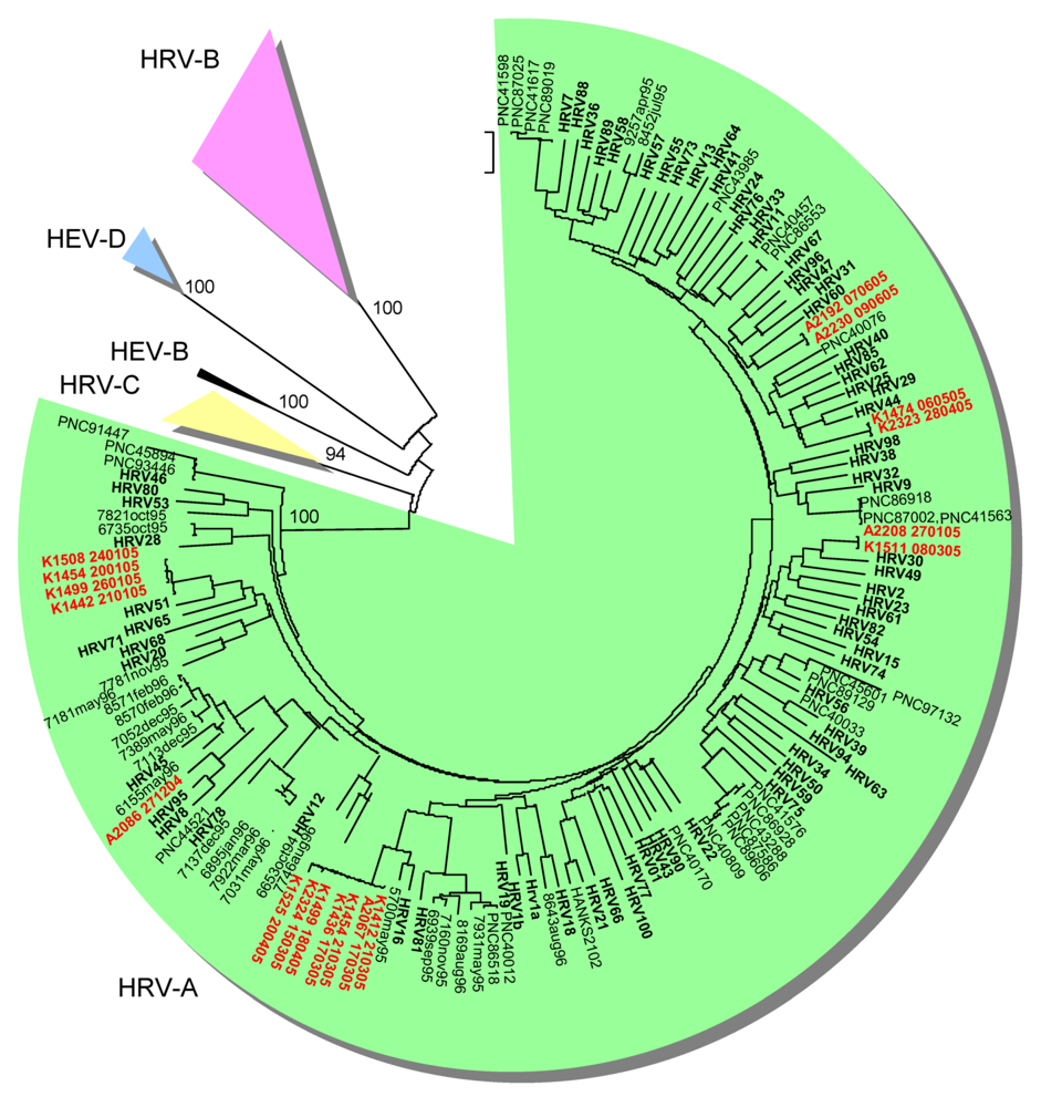 Viruses 01 01178 g002