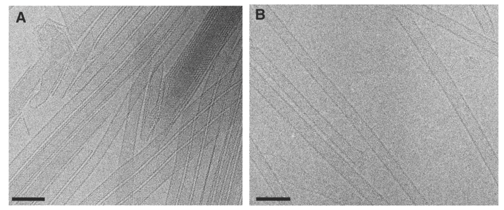 Viruses 02 00107 g001