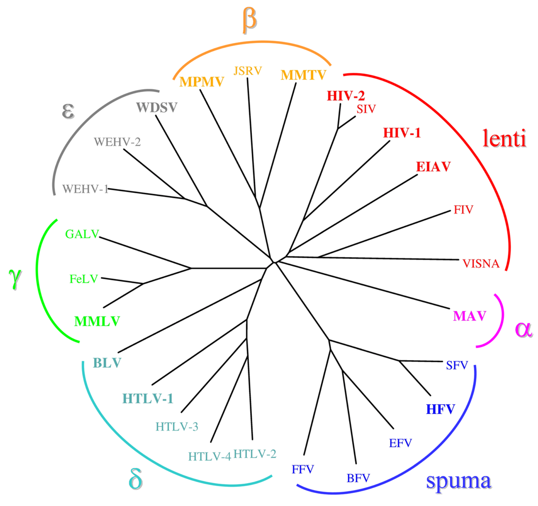 Viruses 02 00147 g001