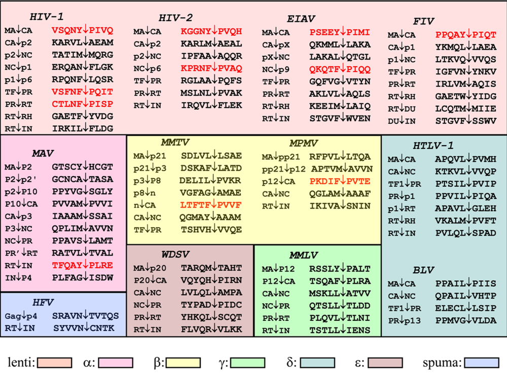 Viruses 02 00147 g002