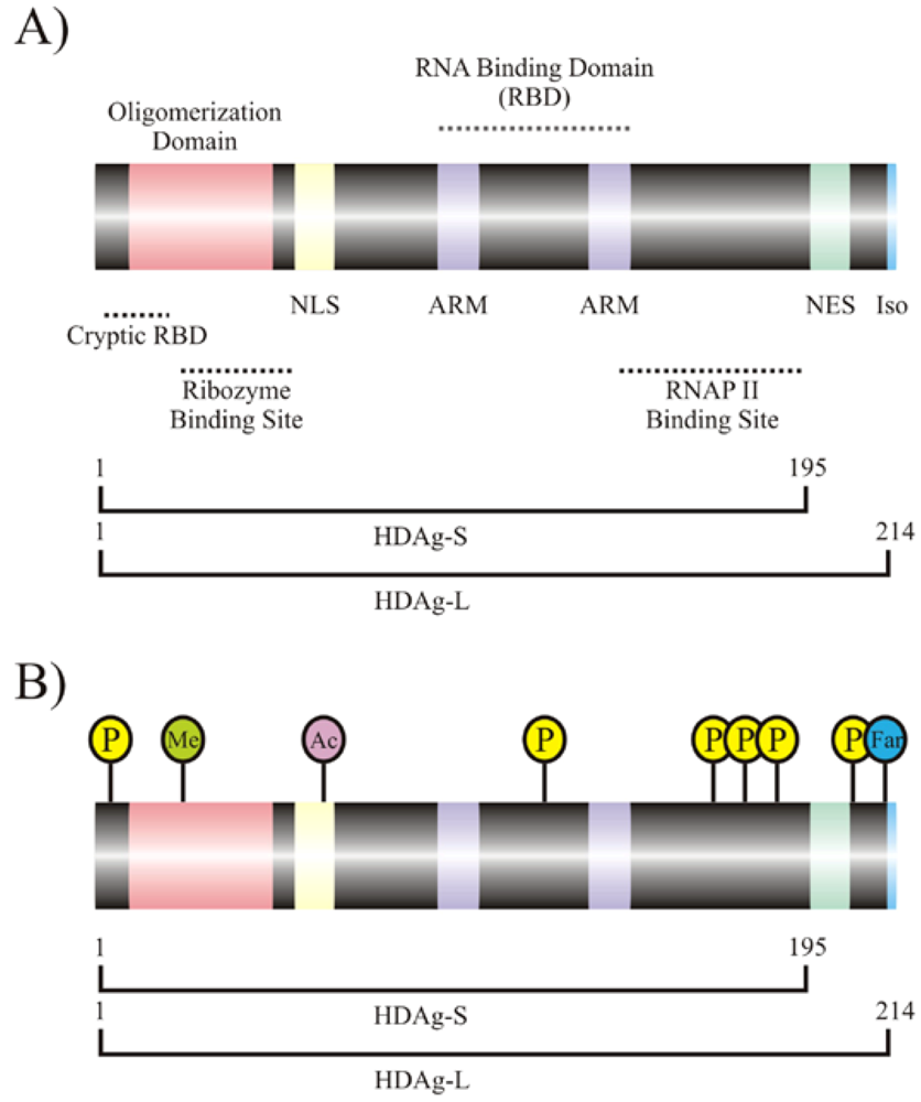 Viruses 02 00189 g002