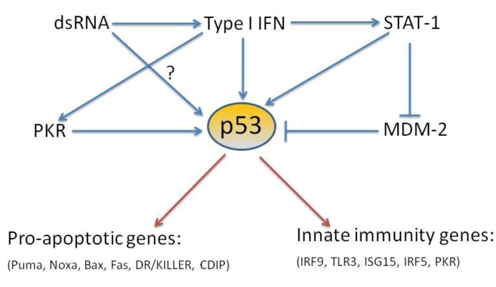 Viruses 02 00298 g001