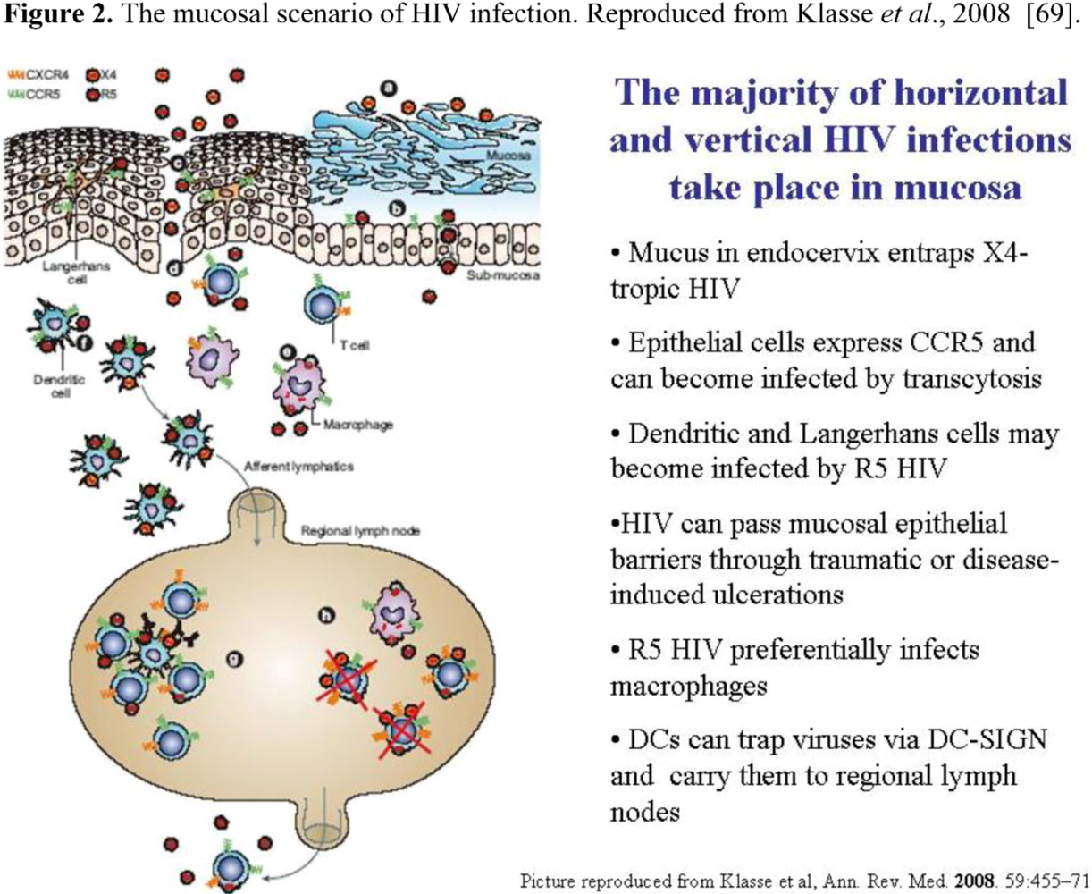 Viruses 02 00574 g002