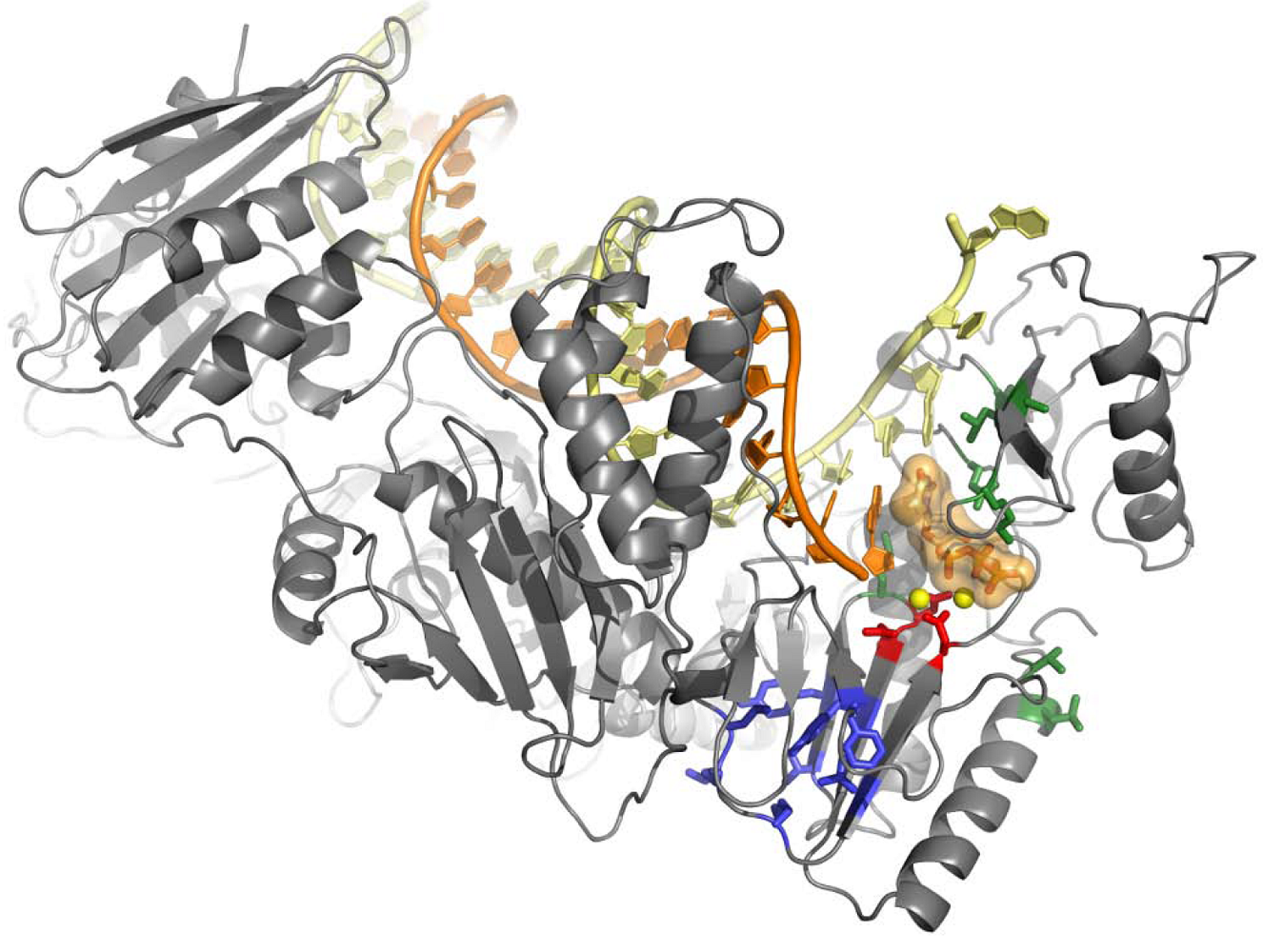 Viruses 02 00880 g001