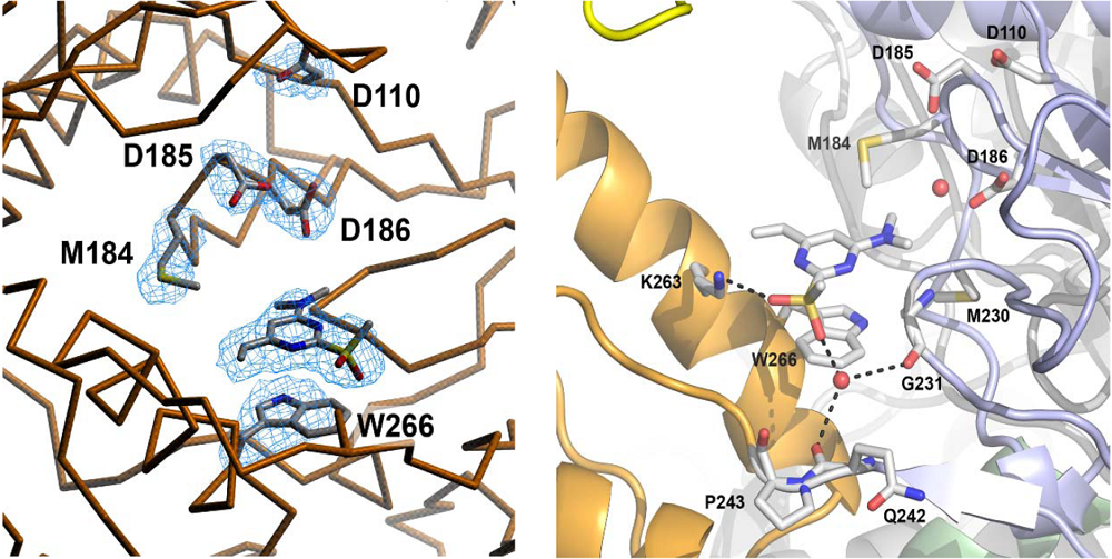 Viruses 02 00880 g008