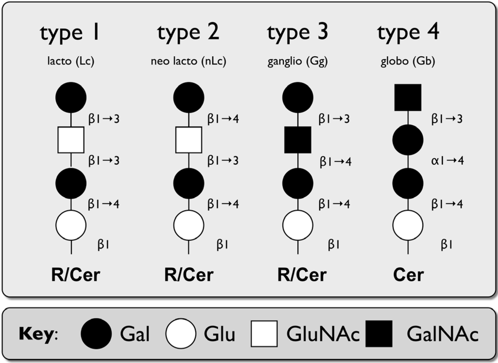 Viruses 02 01011 g001
