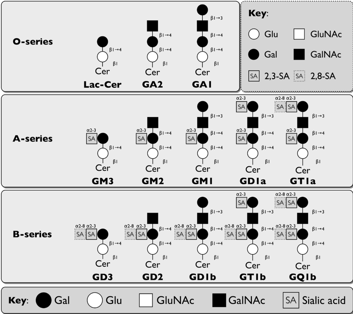 Viruses 02 01011 g005