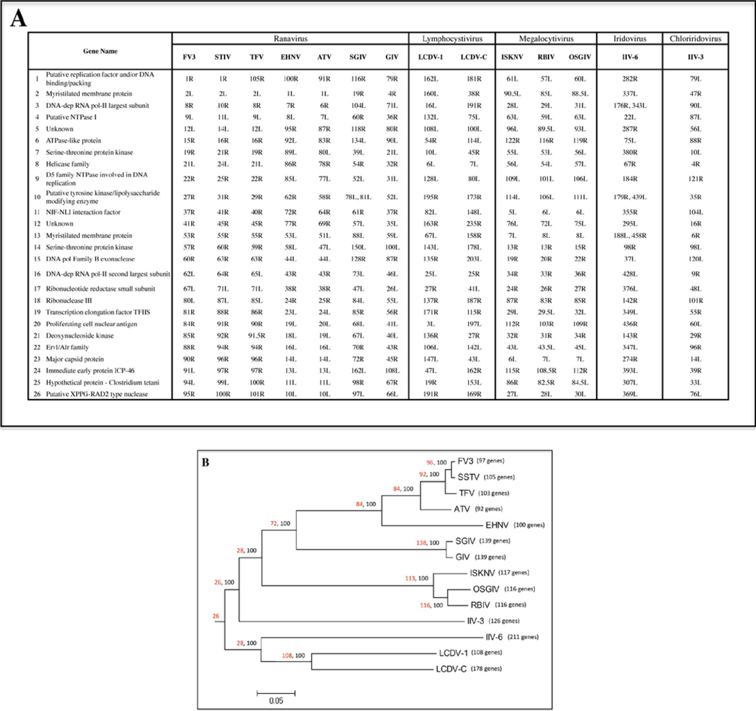 Viruses 02 01458 g001 1024