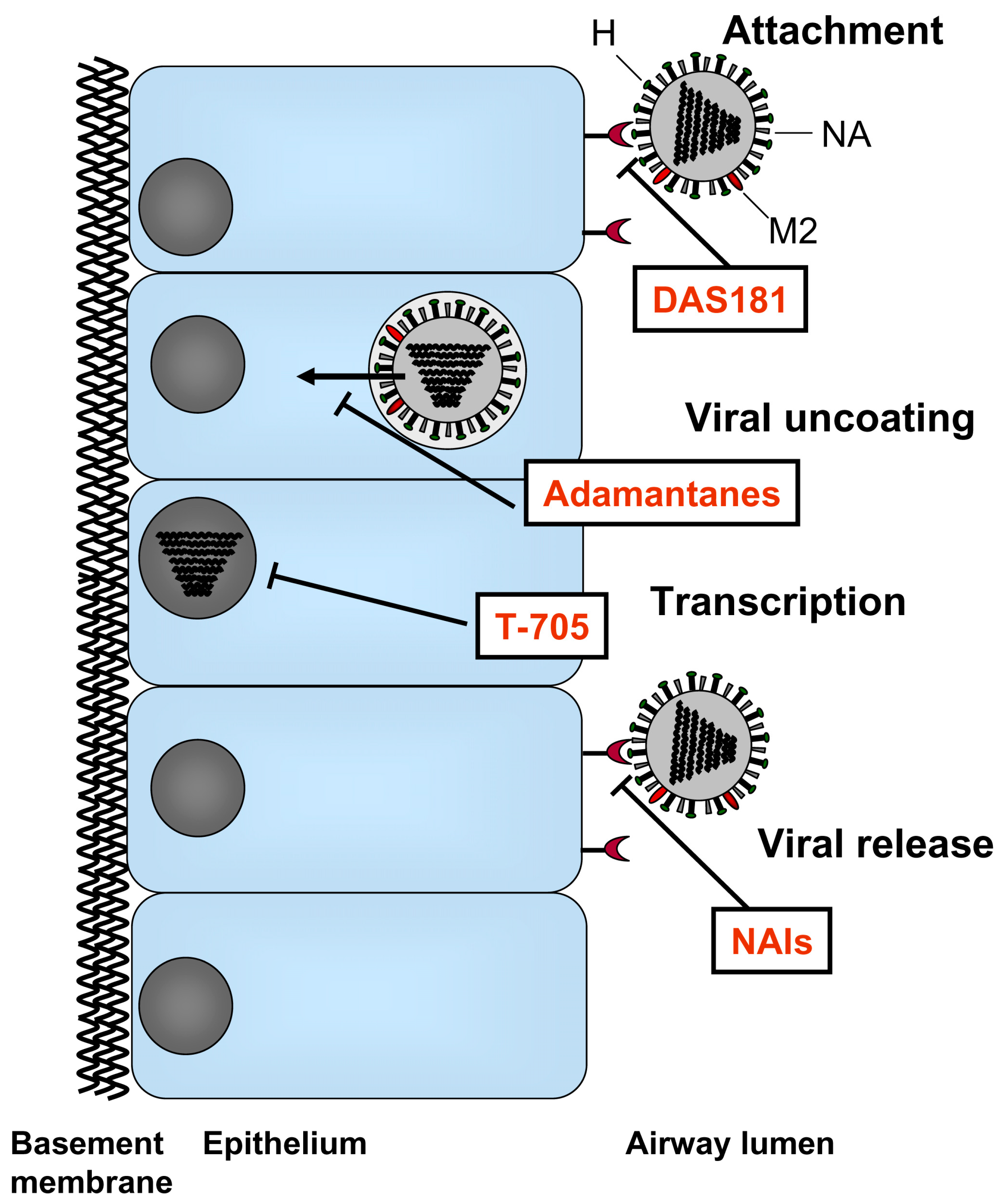 Viruses 02 01766 g001