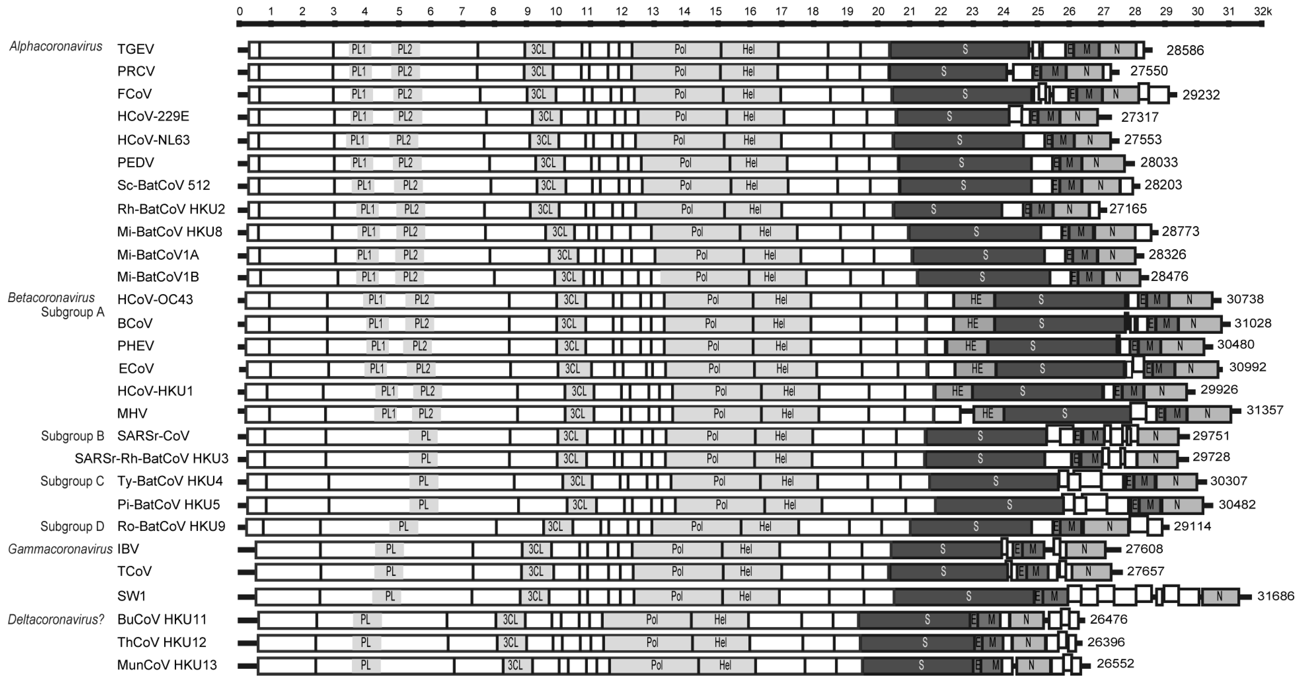 Viruses 02 01804 g001