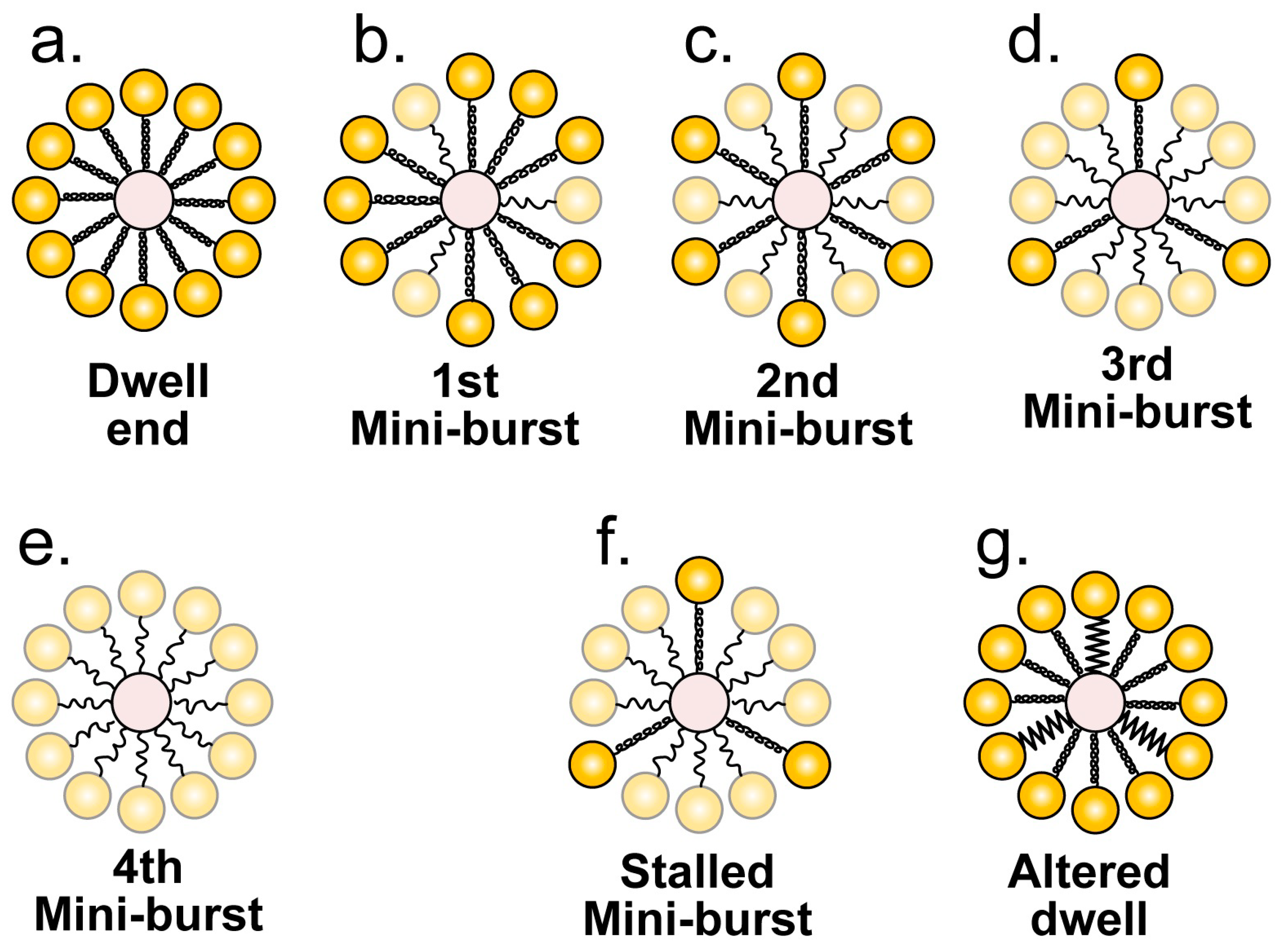 Viruses 02 01821 g003