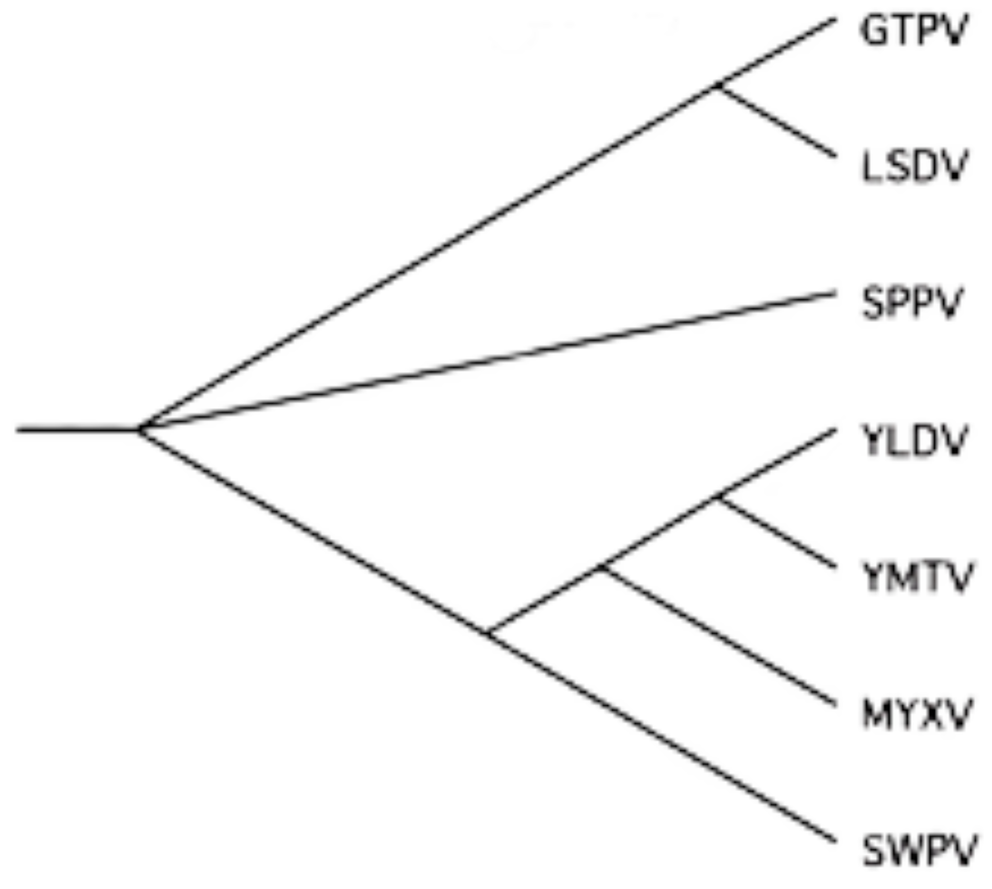 Viruses 02 01867 g002