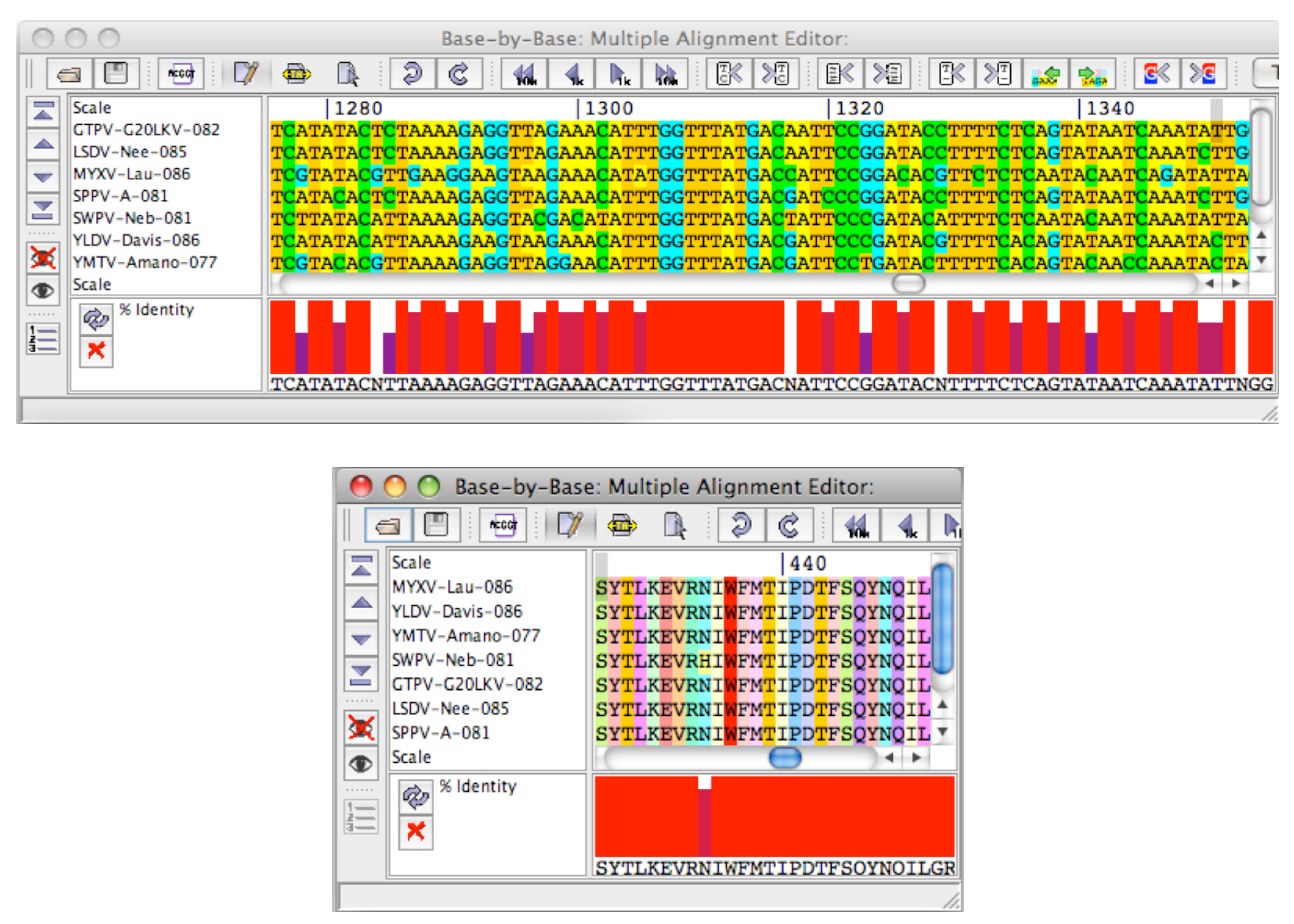 Viruses 02 01867 g007
