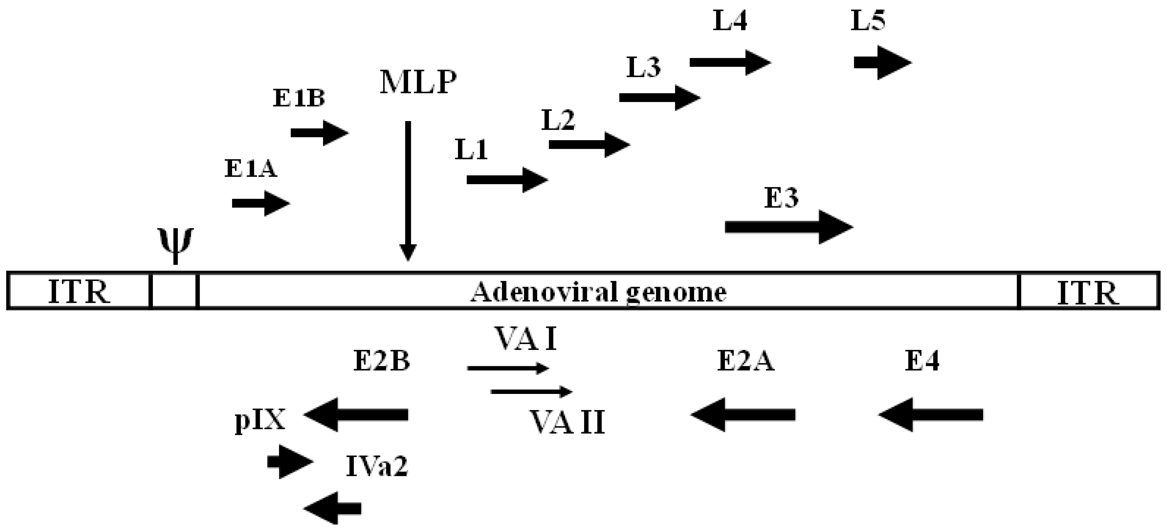Viruses 02 01886 g001