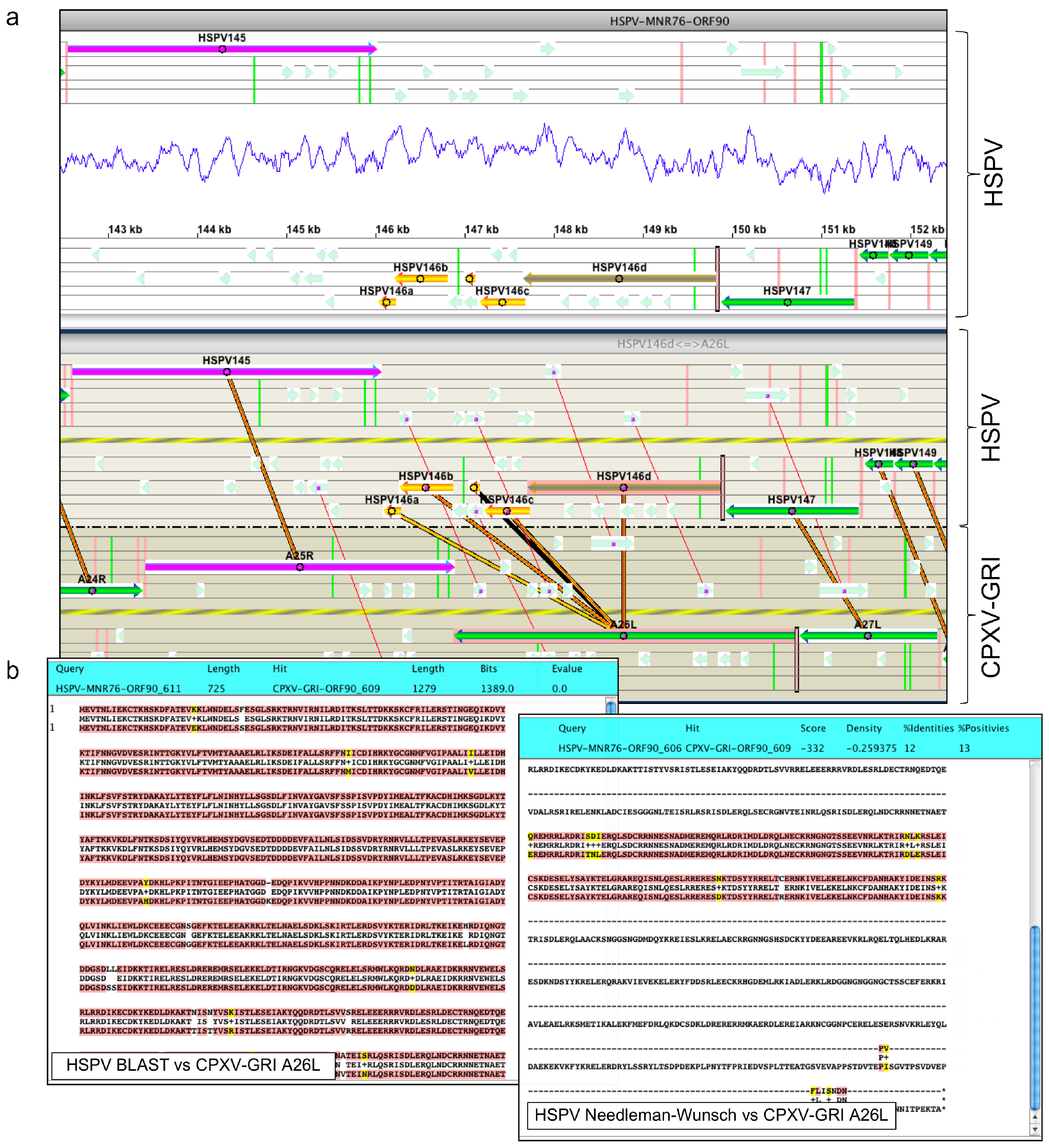 Viruses 02 01933 g003a Viruses 02 01933 g003a