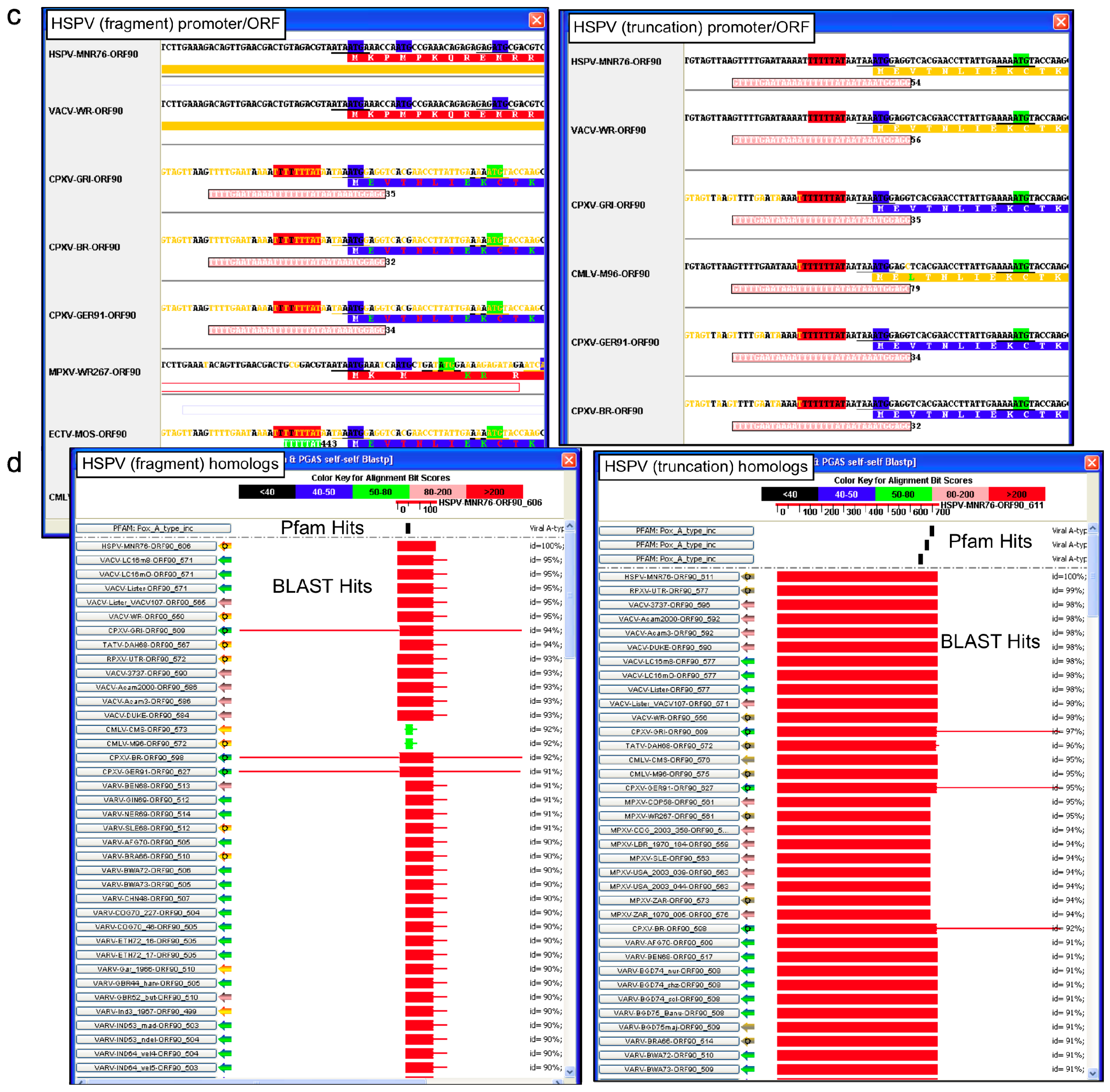 Viruses 02 01933 g003b Viruses 02 01933 g003b