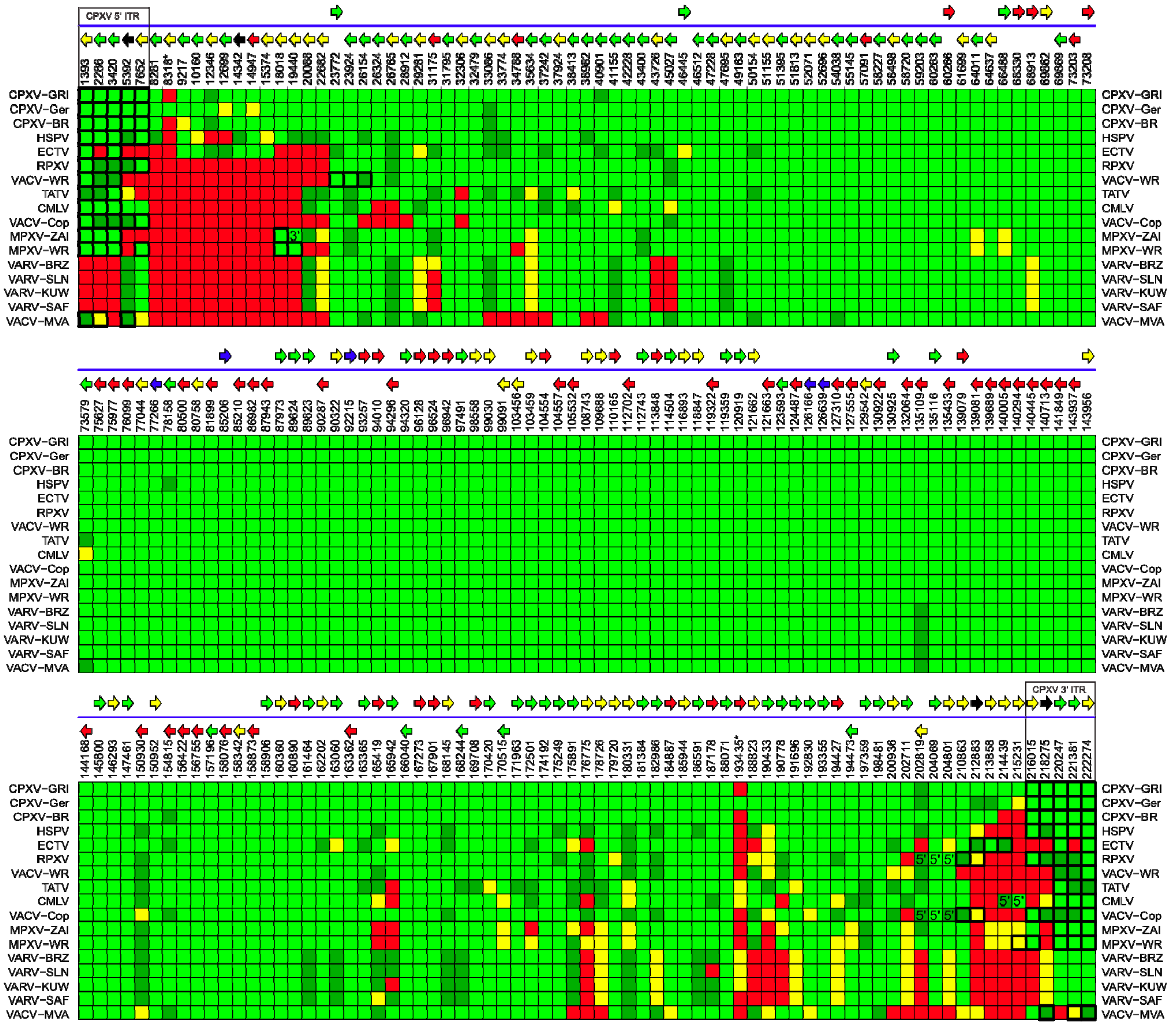 Viruses 02 01933 g008 Viruses 02 01933 g008