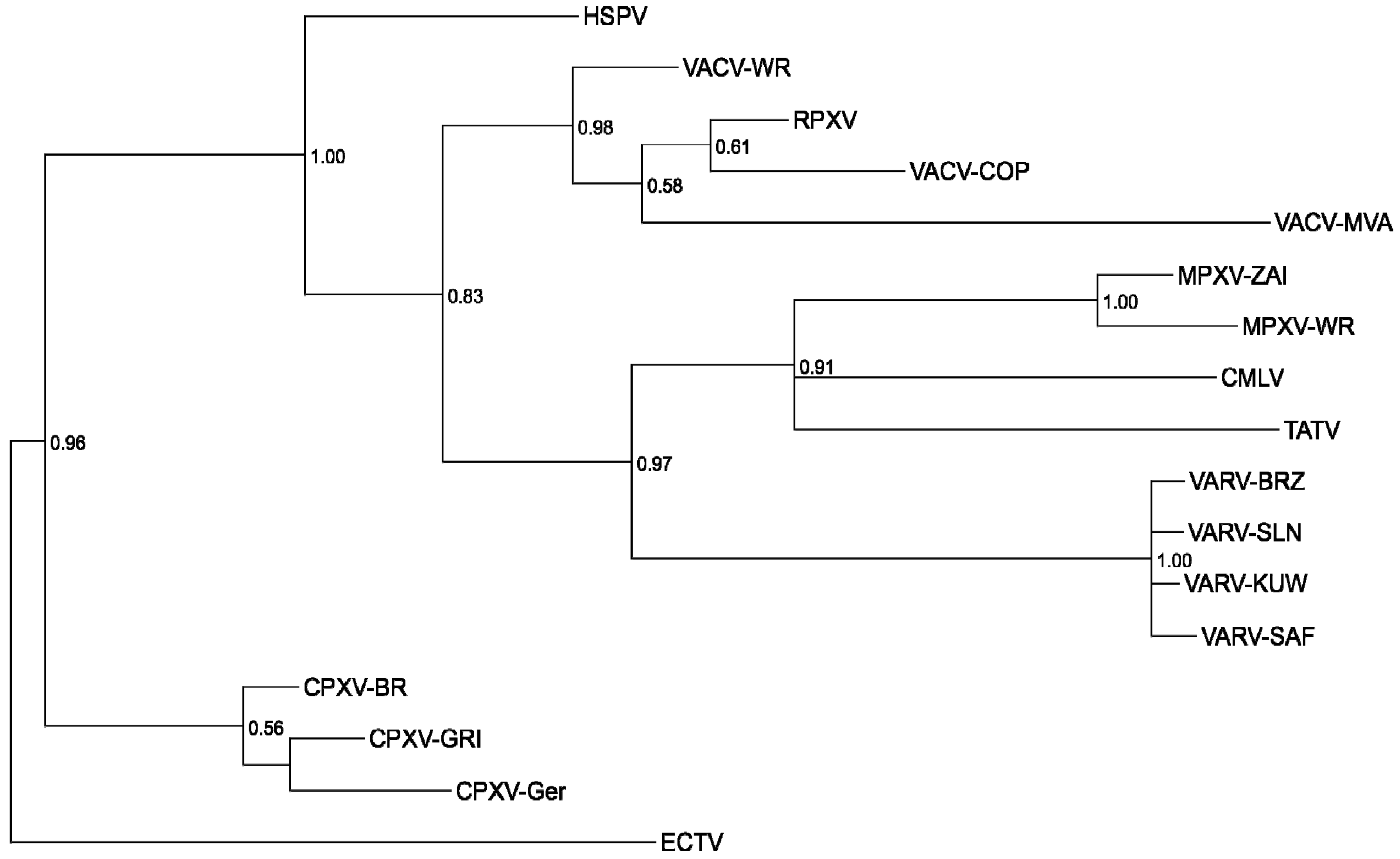 Viruses 02 01933 g010 Viruses 02 01933 g010