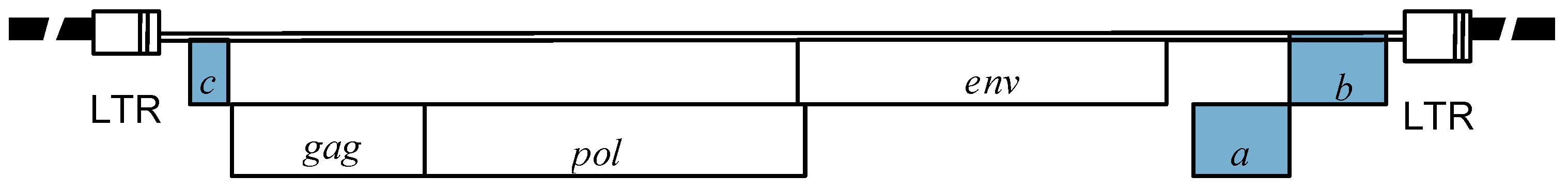 Viruses 02 01984 g002