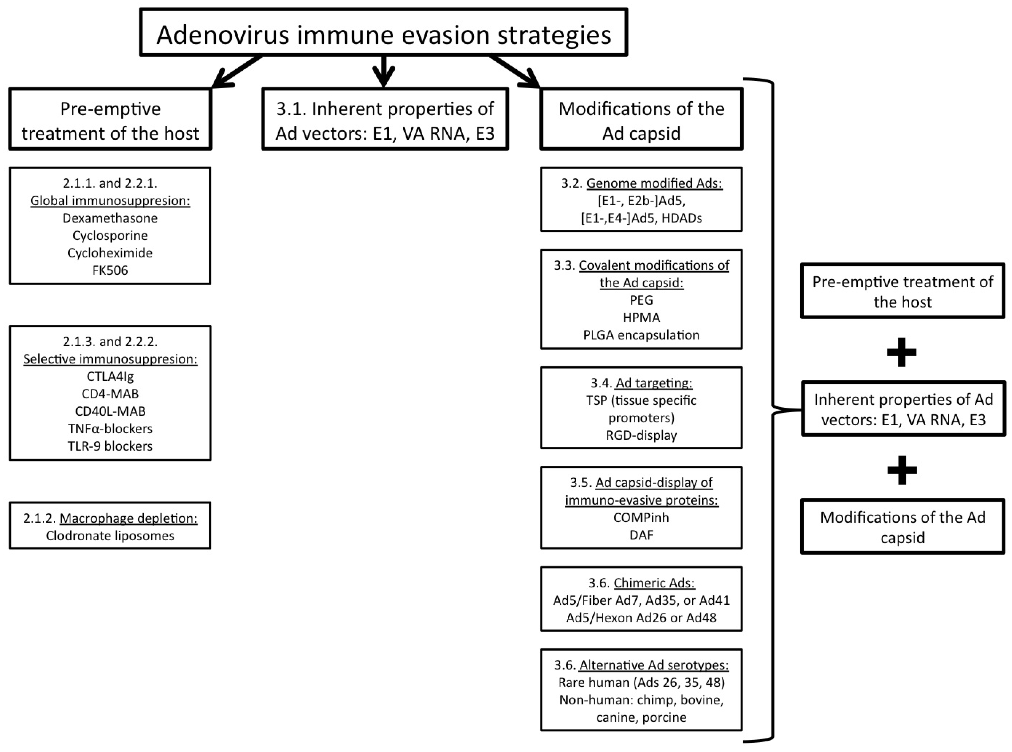 Viruses 02 02013 g001