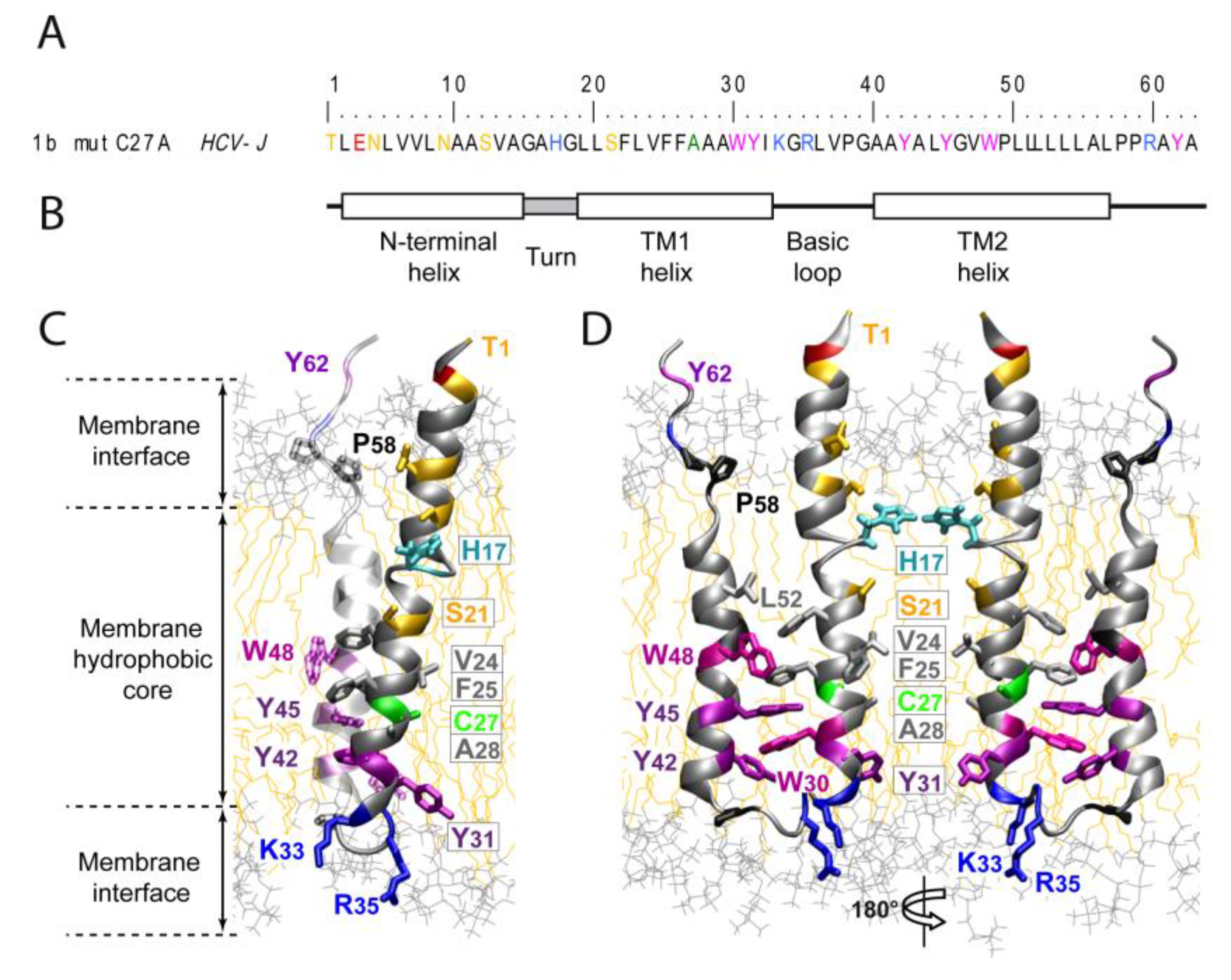Viruses 02 02078 g002a