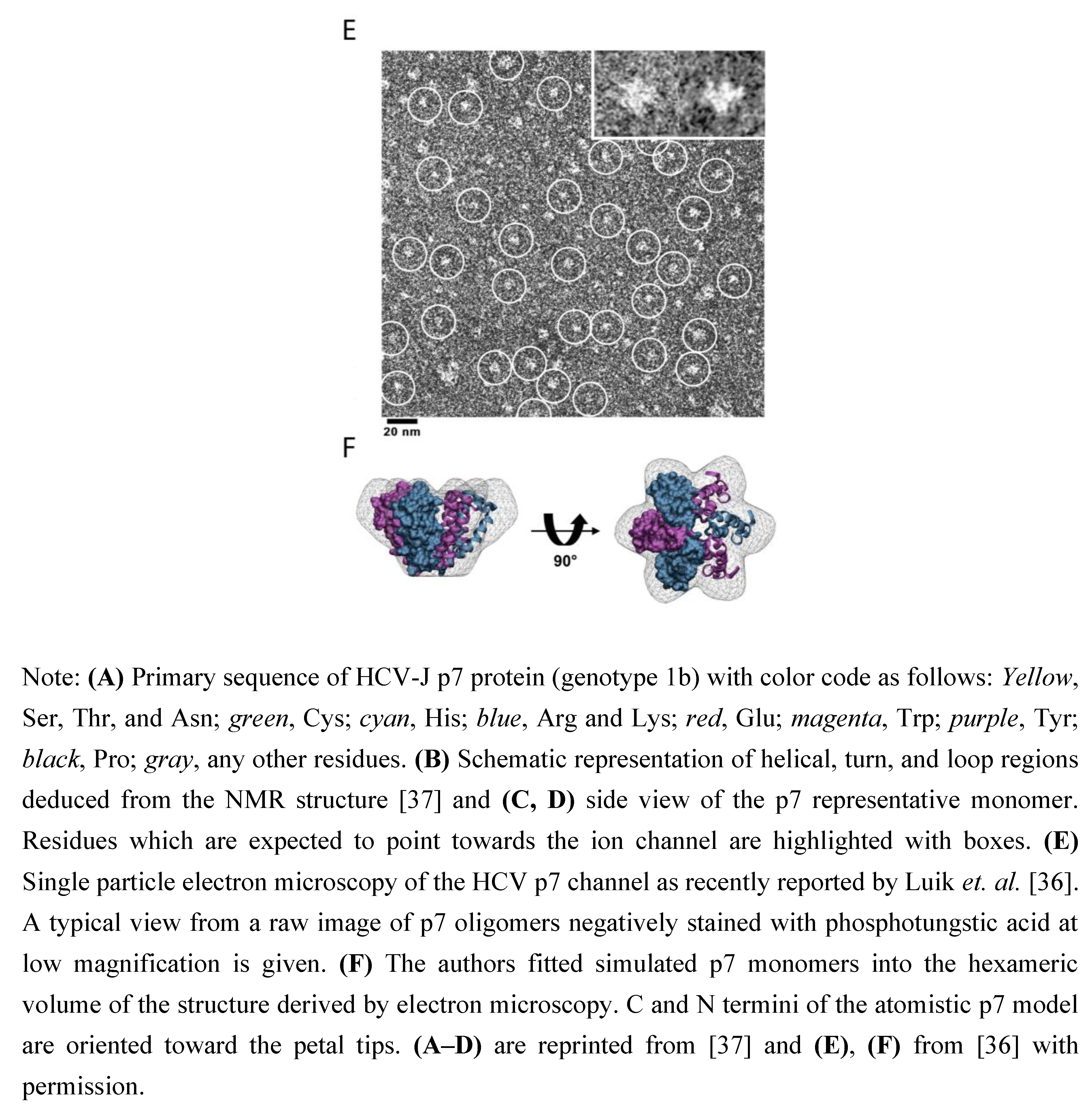 Viruses 02 02078 g002b