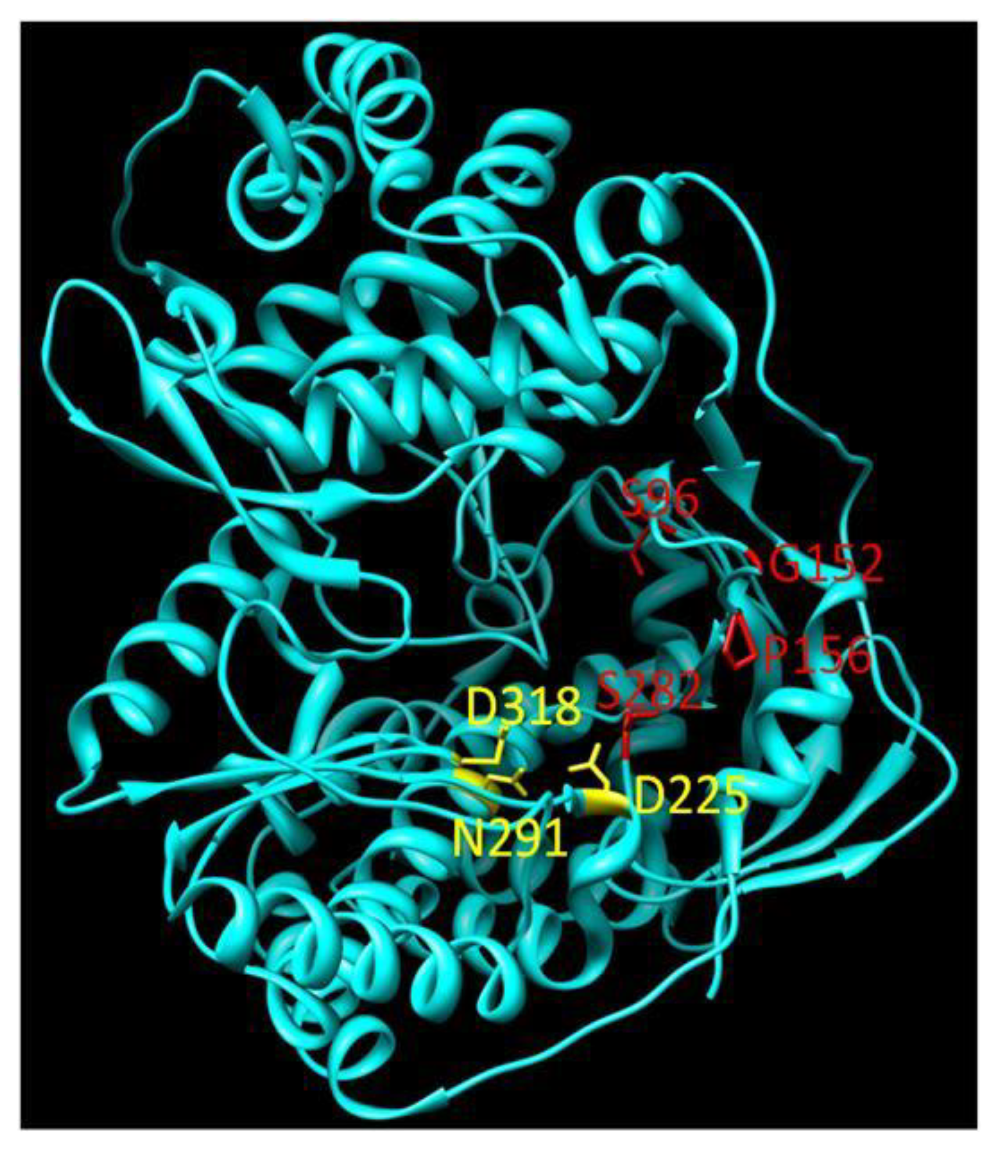 Viruses 02 02169 g004