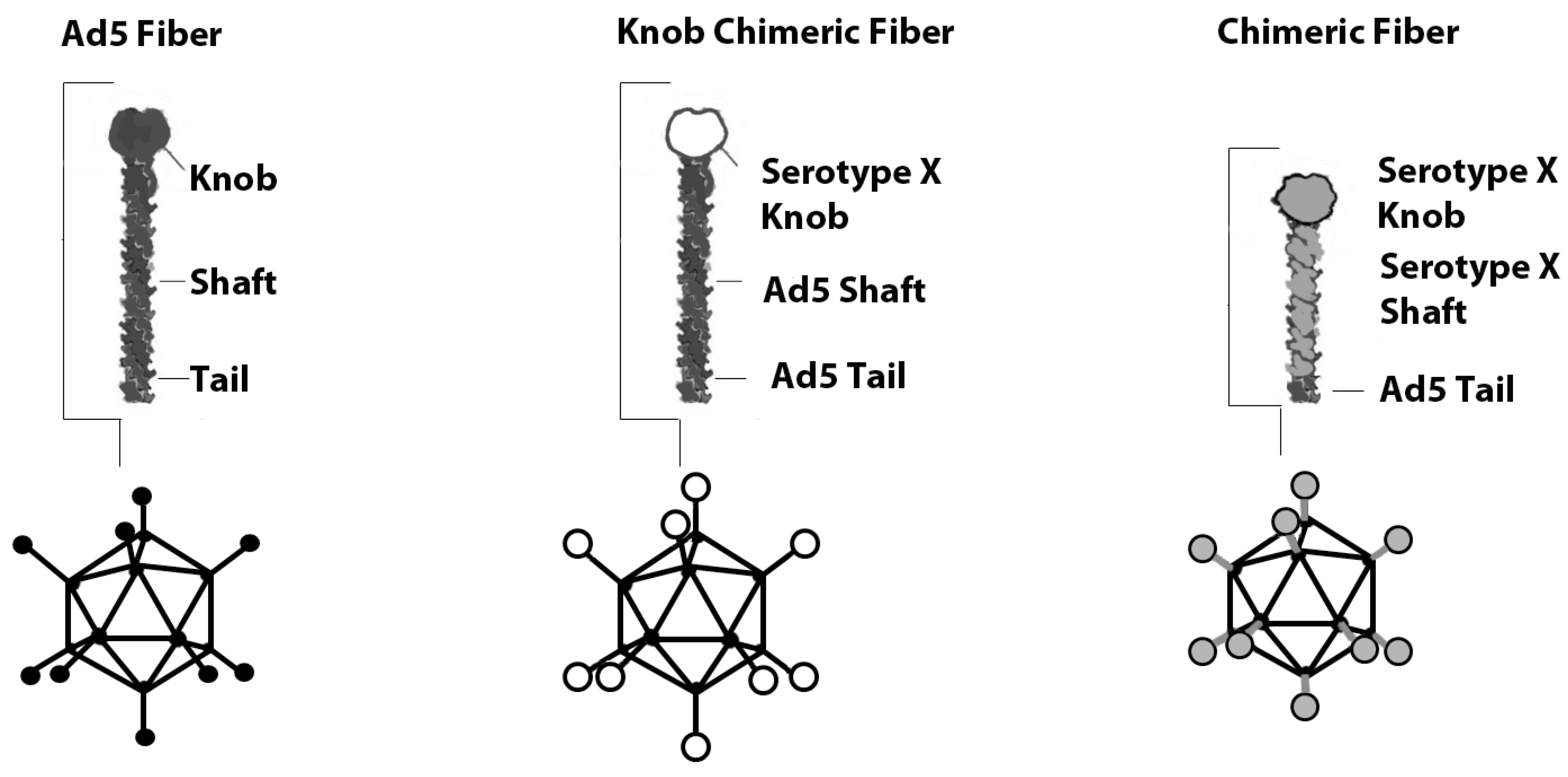 Viruses 02 02196 g001
