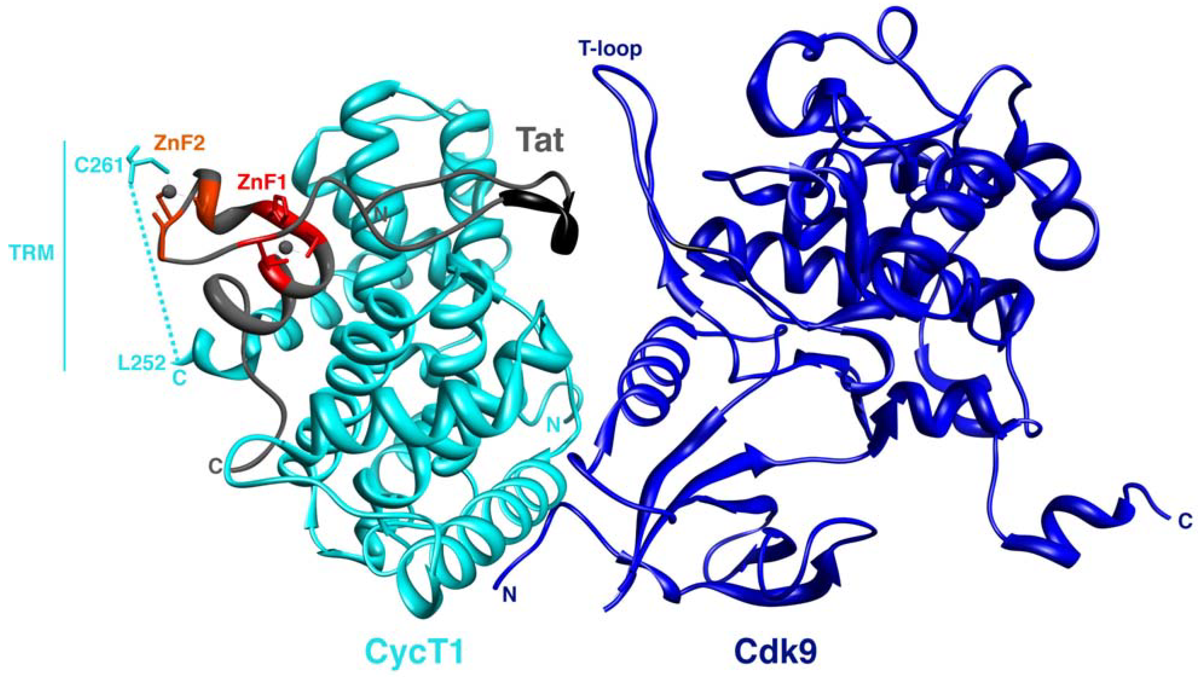 Viruses 02 02226 g002
