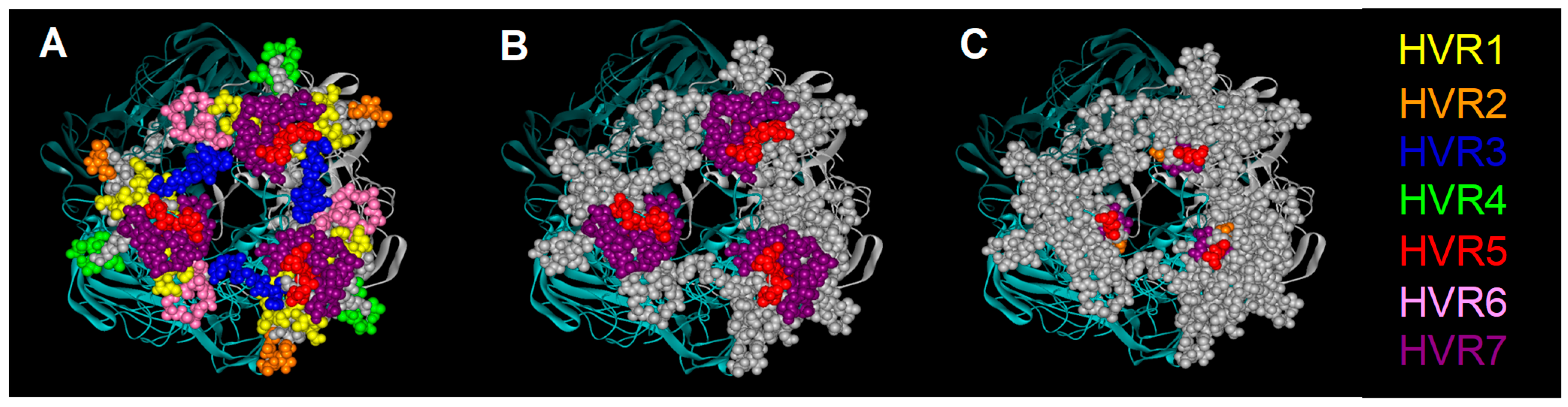 Viruses 02 02290 g005 Viruses 02 02290 g005