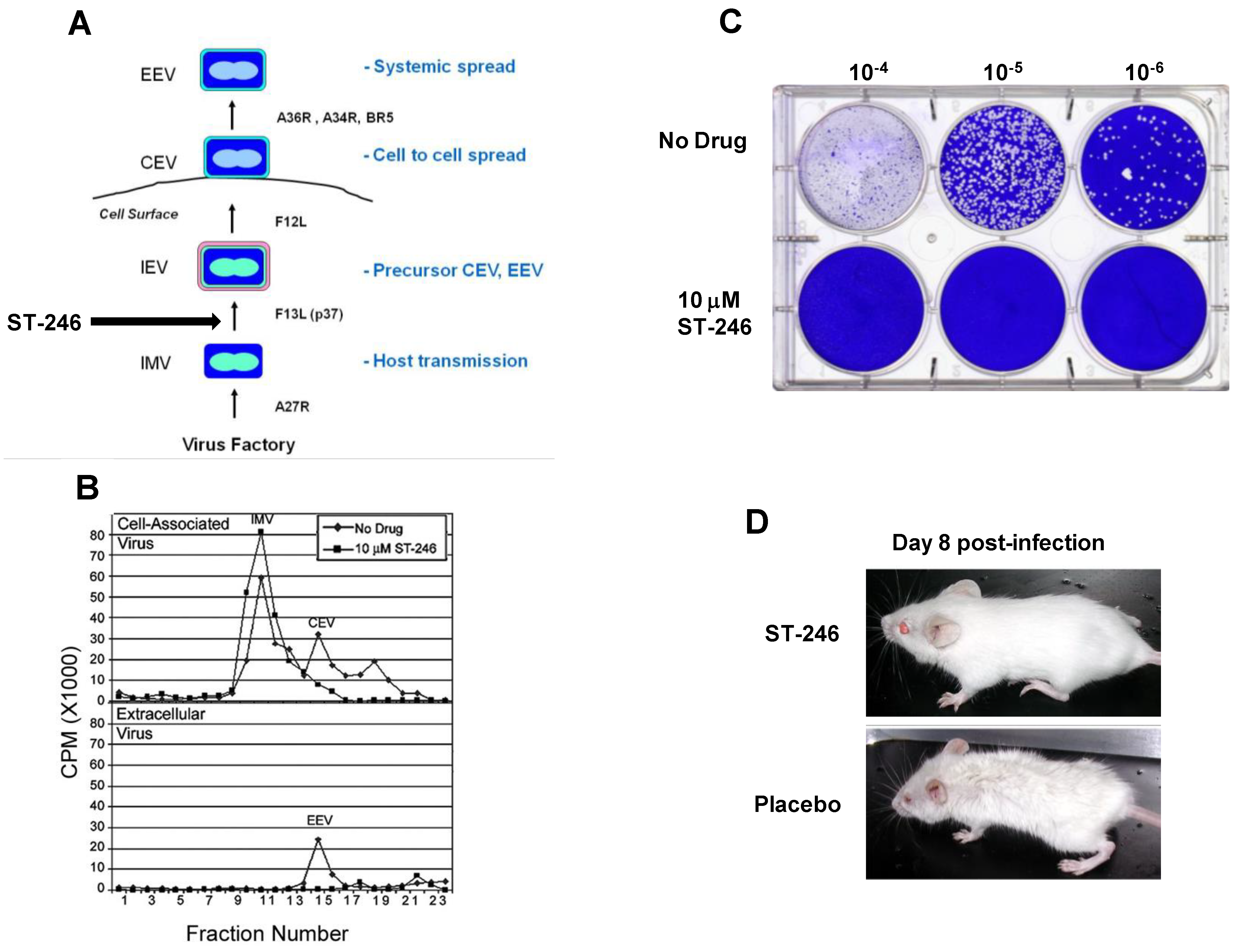 Viruses 02 02409 g002