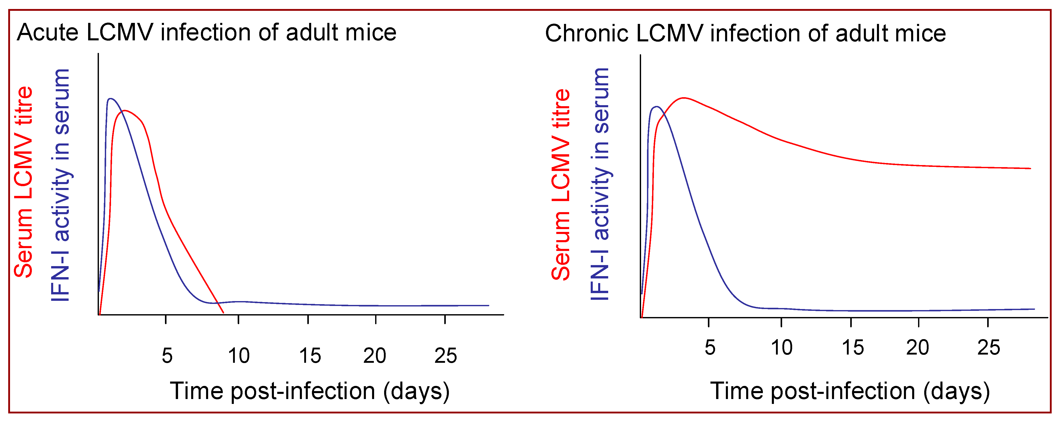 Viruses 02 02443 g004