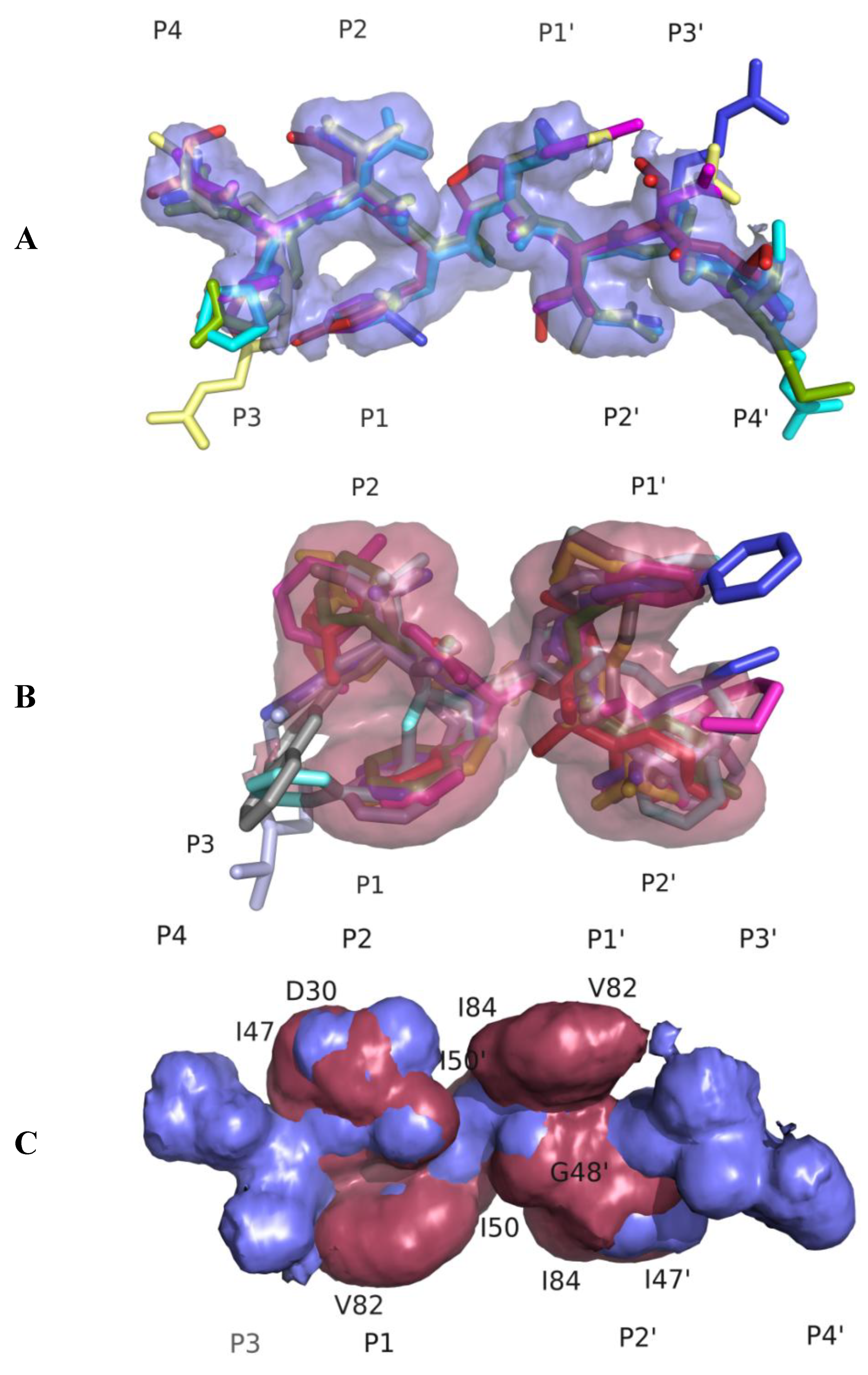 Viruses 02 02509 g003
