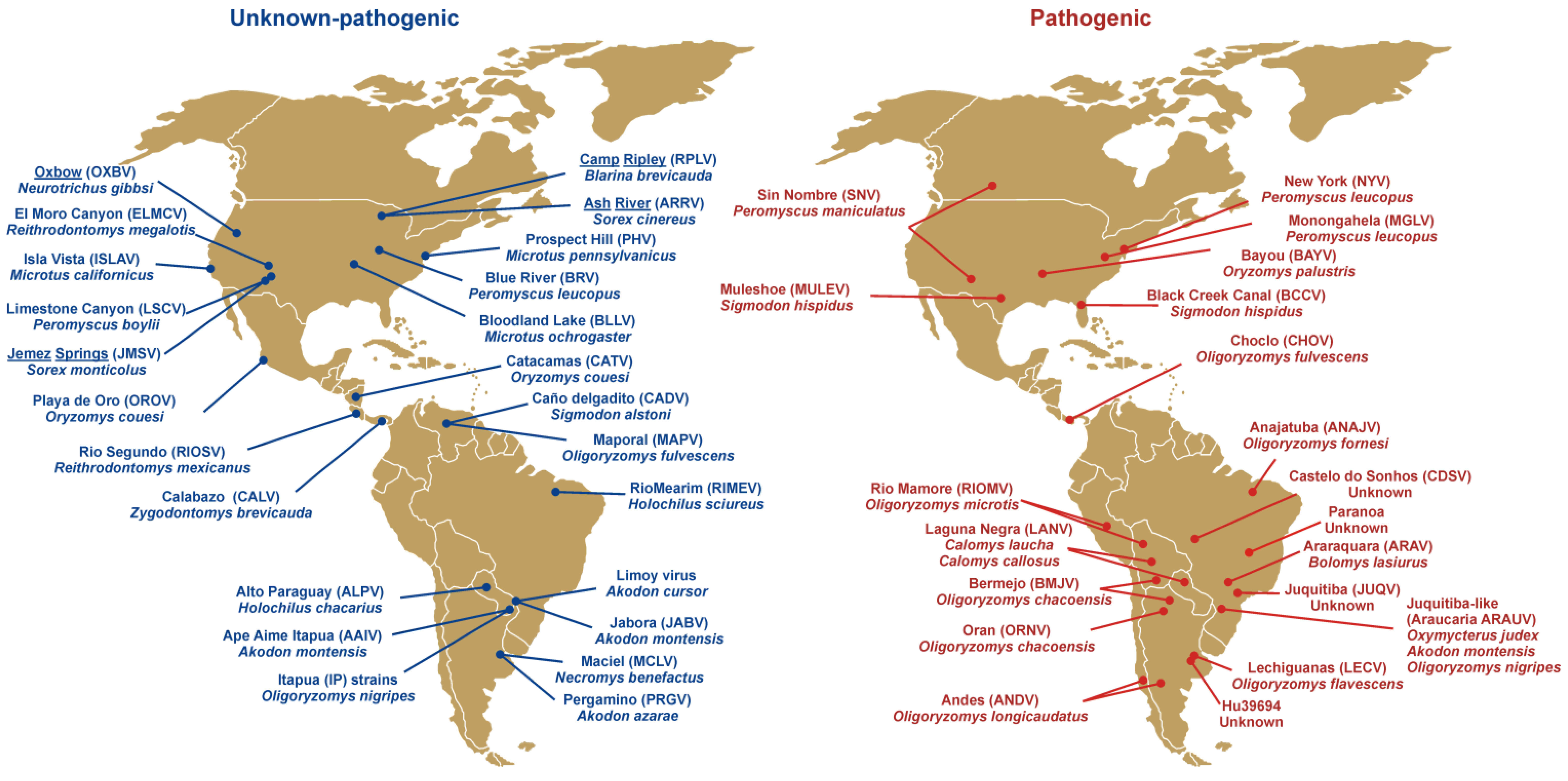 Viruses 02 02559 g001