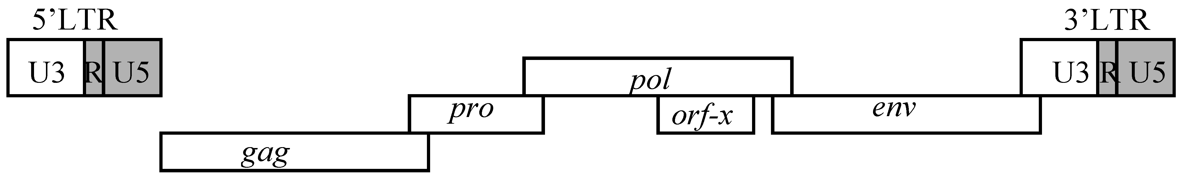 Viruses 02 02618 g001