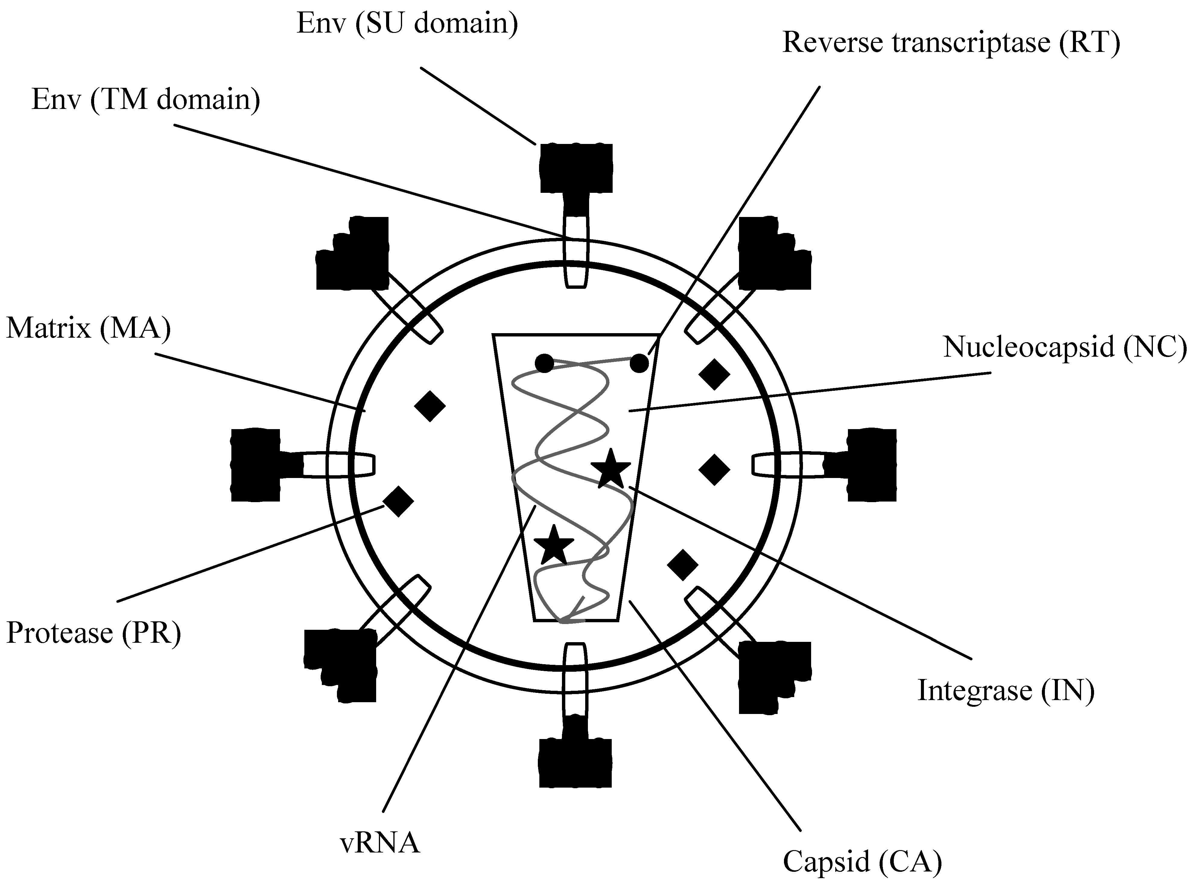 Viruses 02 02618 g002