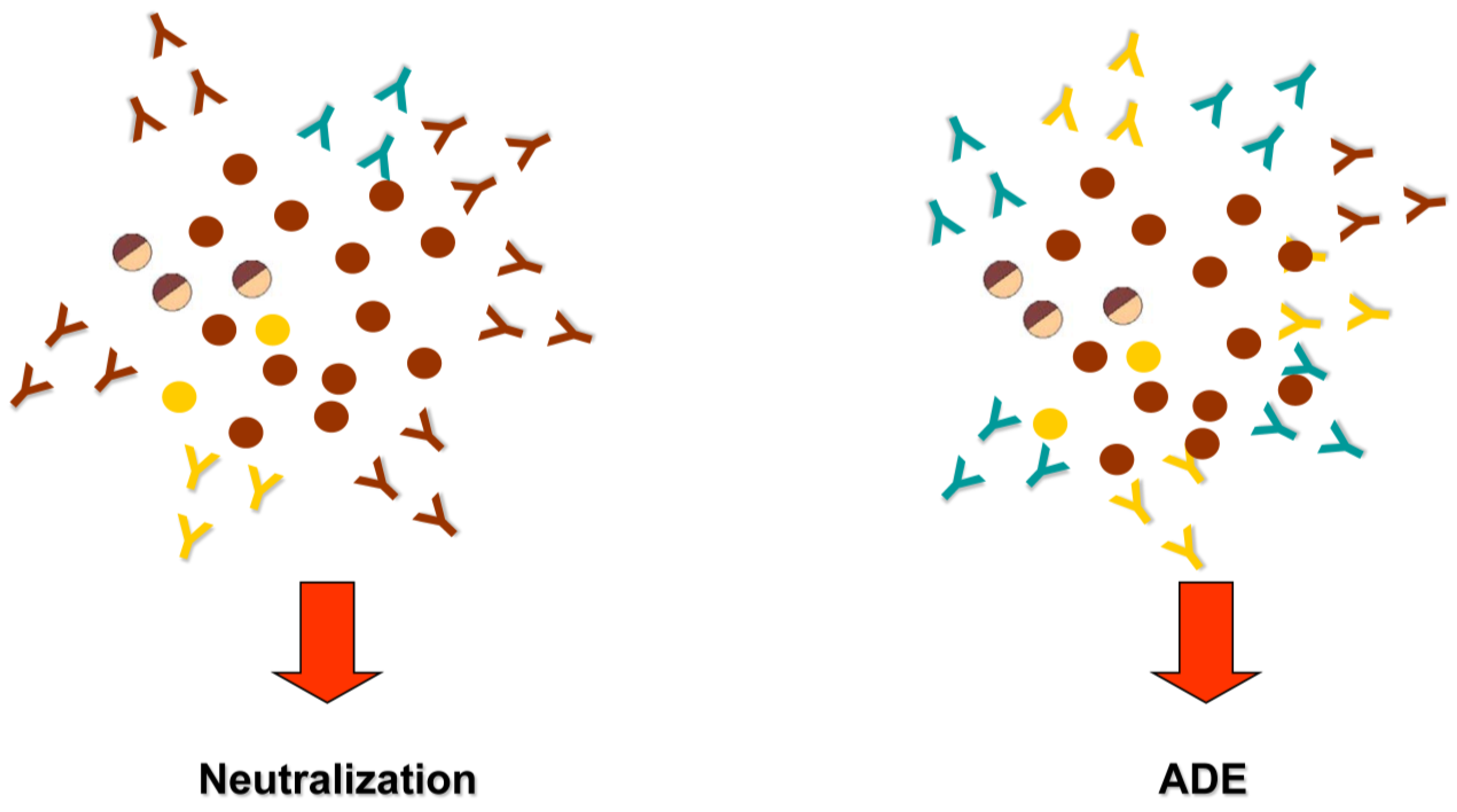 Viruses 02 02649 g001
