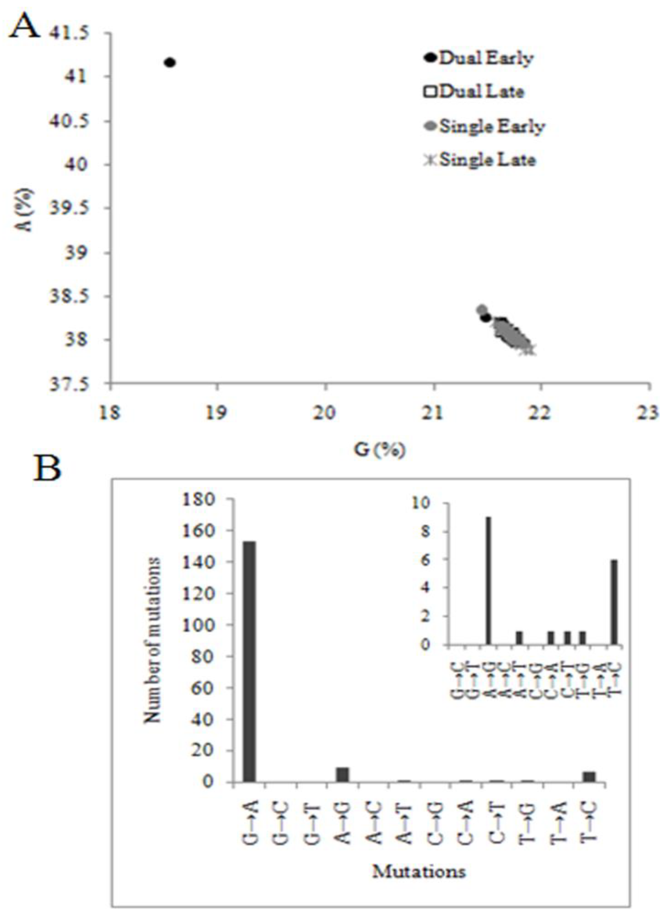 Viruses 02 02663 g003