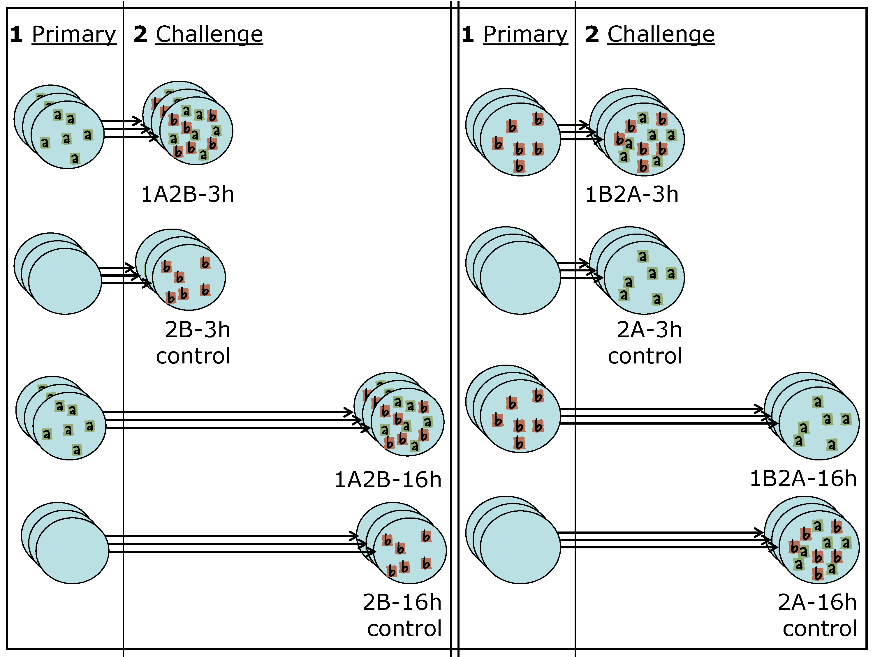 Viruses 02 02782 g003