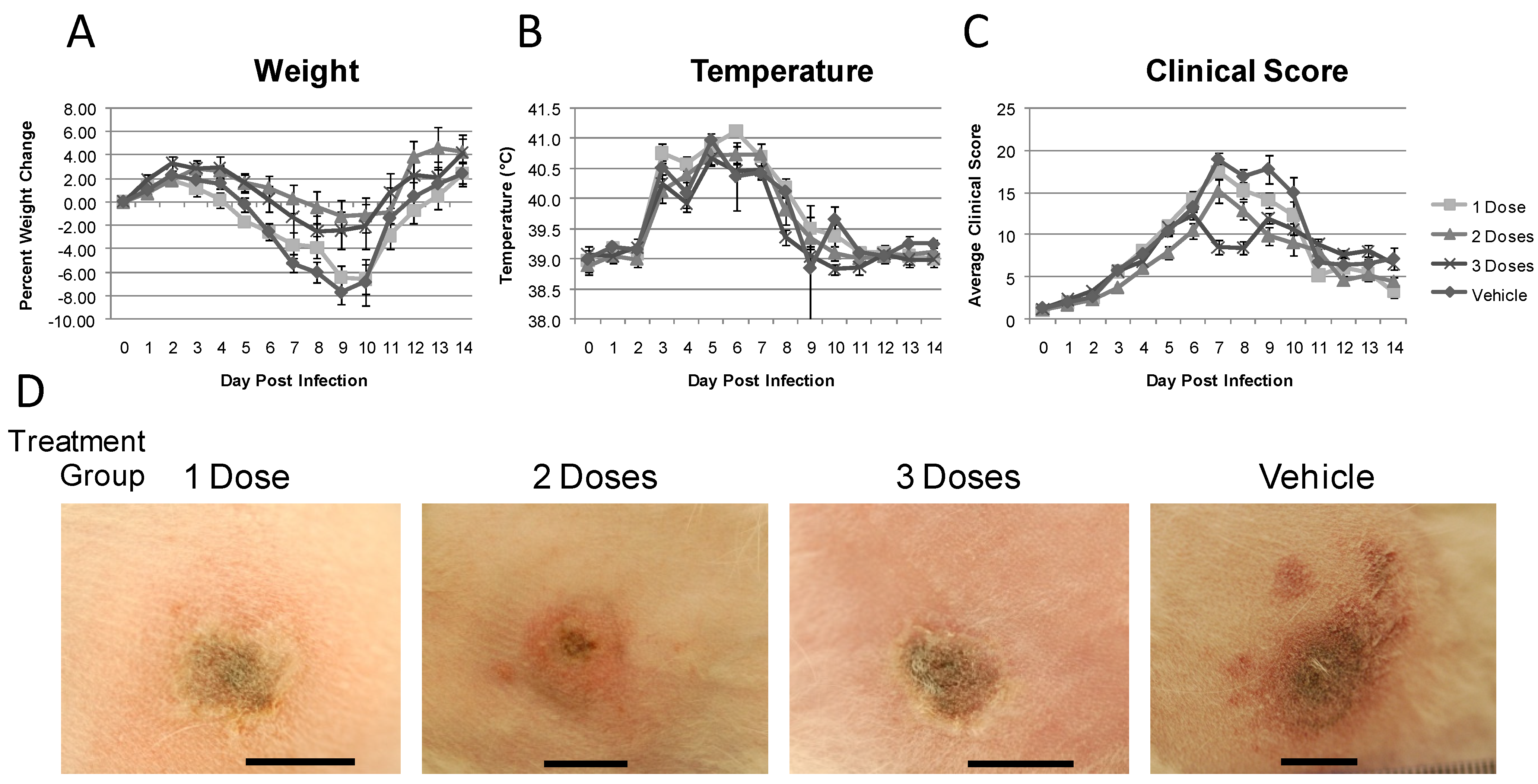 Viruses 03 00047 g003