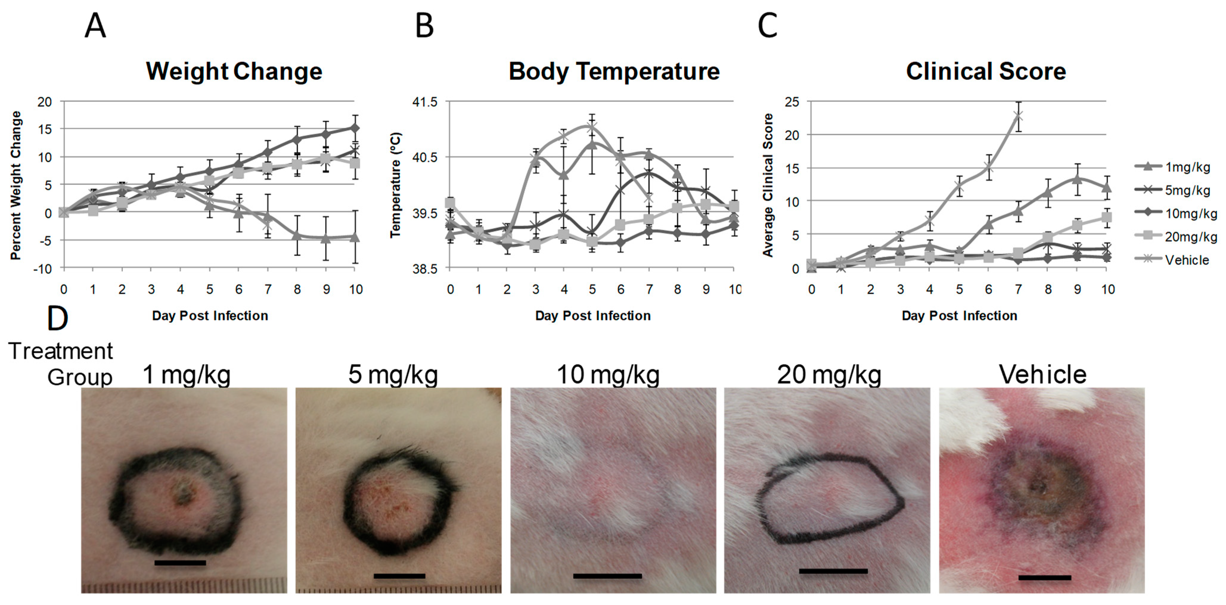 Viruses 03 00063 g004
