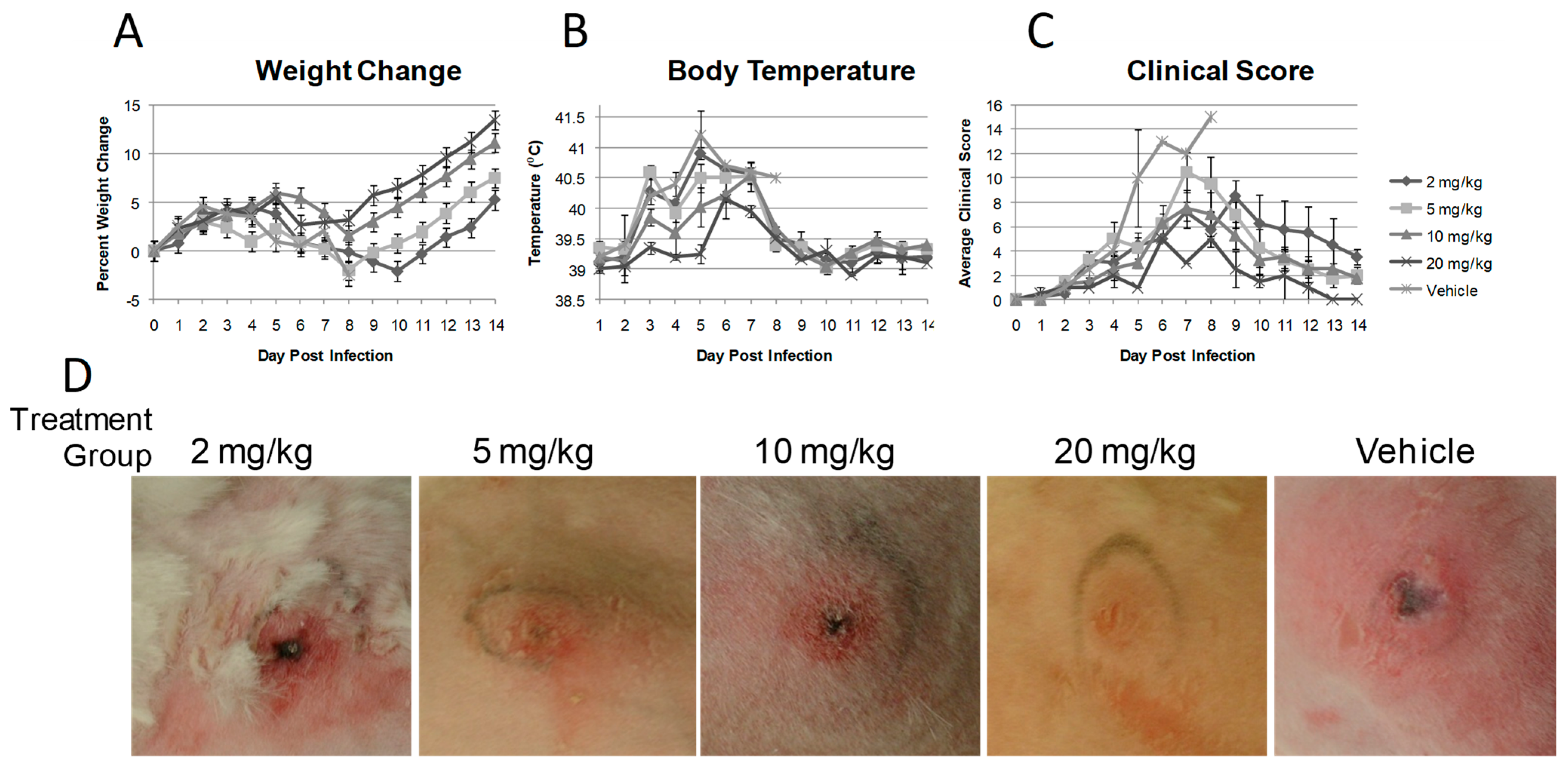 Viruses 03 00063 g006
