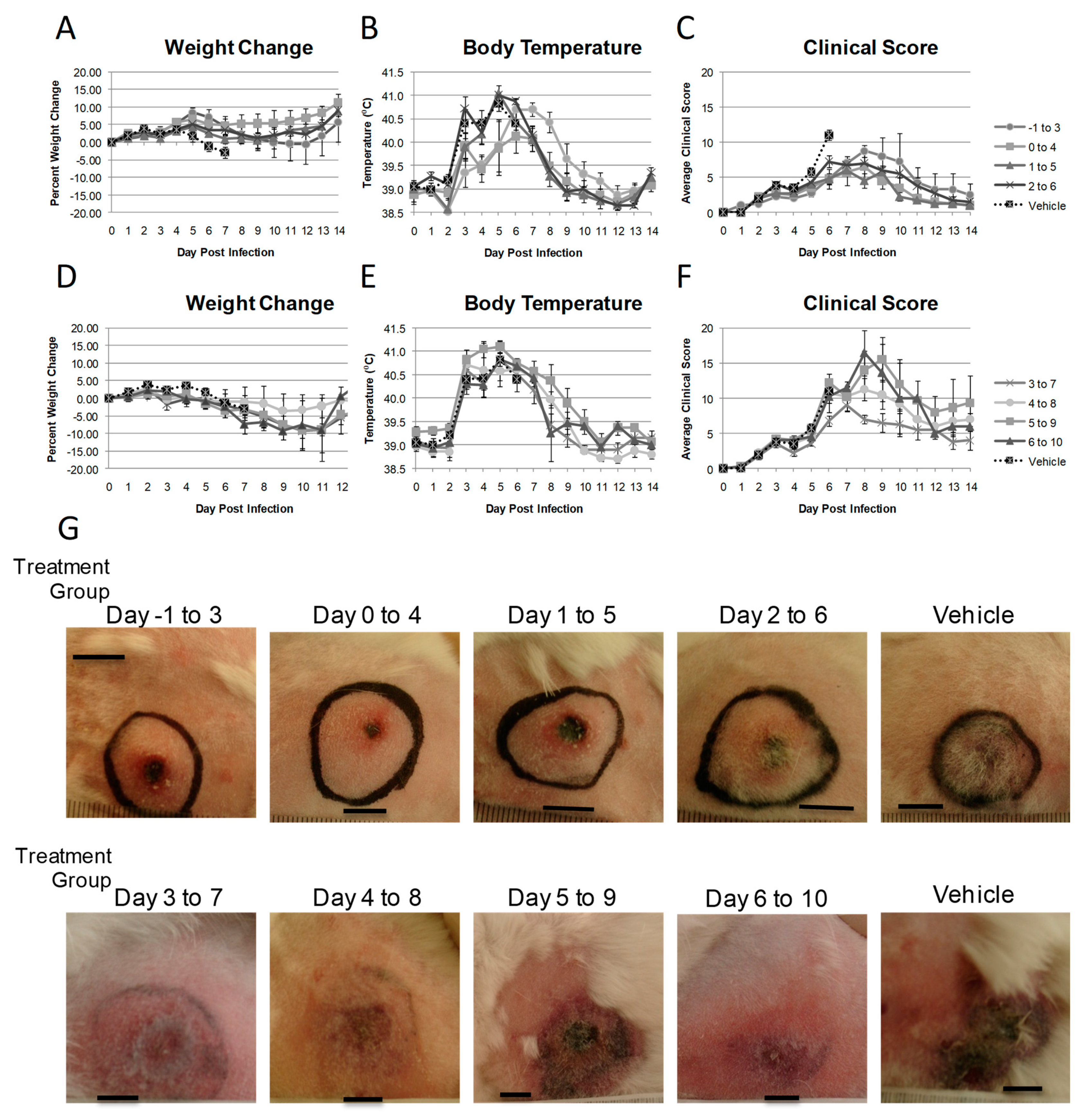 Viruses 03 00063 g008