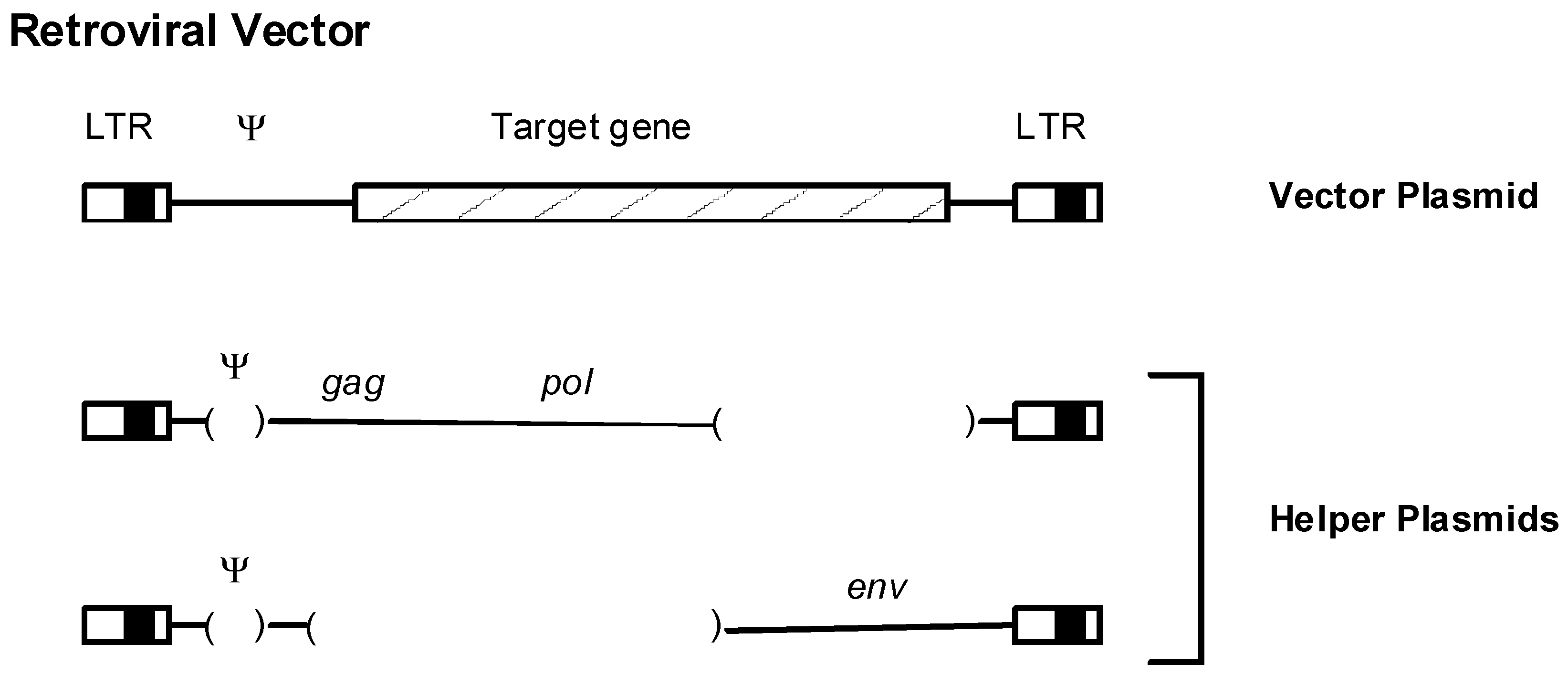 Viruses 03 00398 g004 Viruses 03 00398 g004