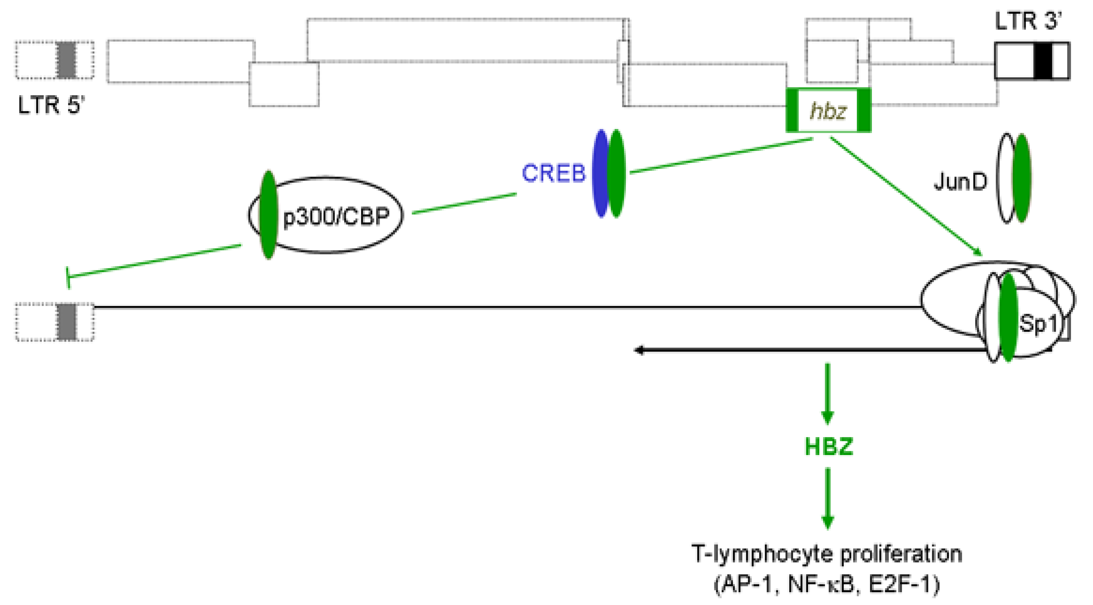 Viruses 03 00456 g002 Viruses 03 00456 g002